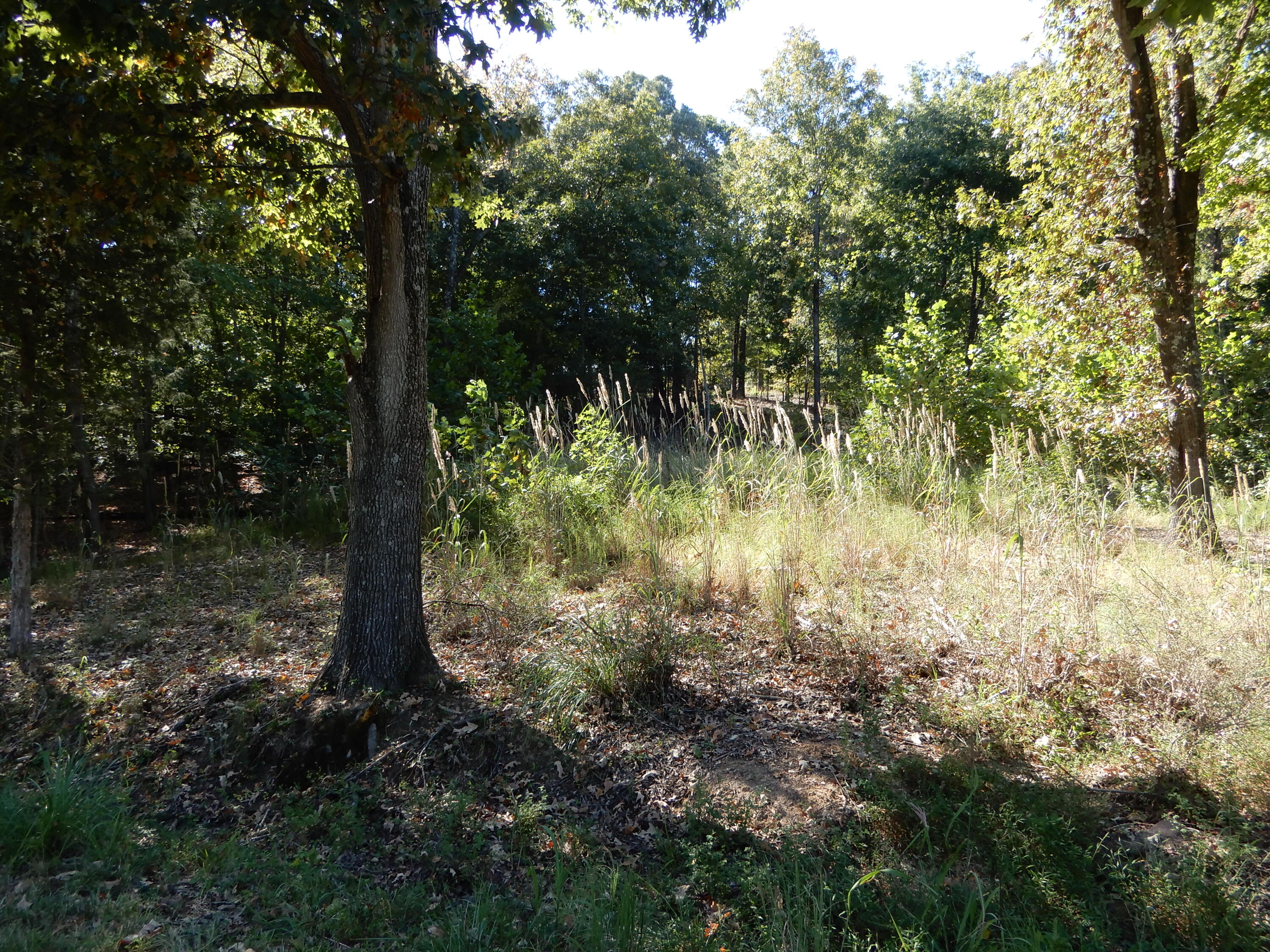 Lot 7 And 8 Roy Harris Road Property Photo 6