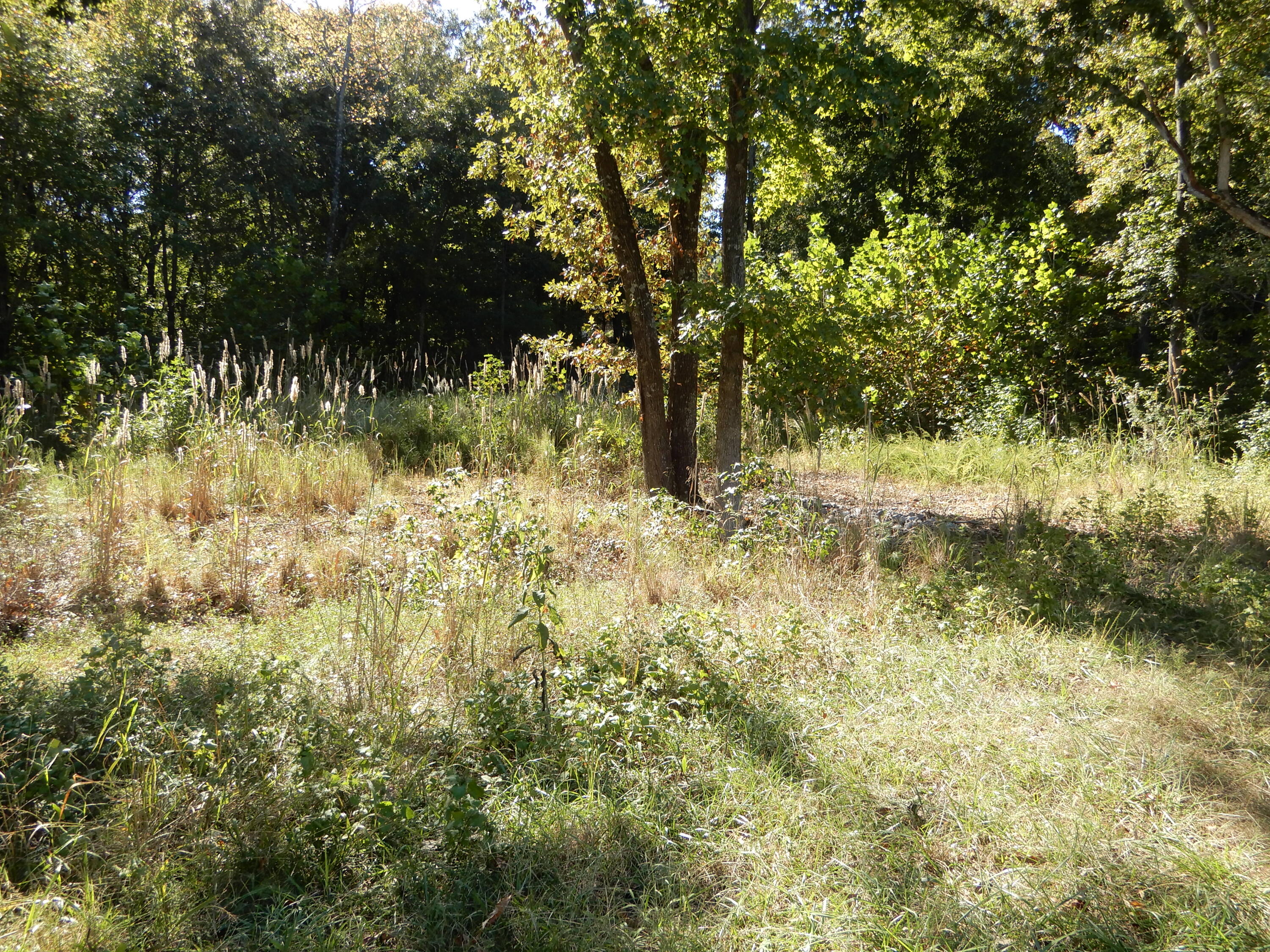 Lot 7 And 8 Roy Harris Road Property Photo 7