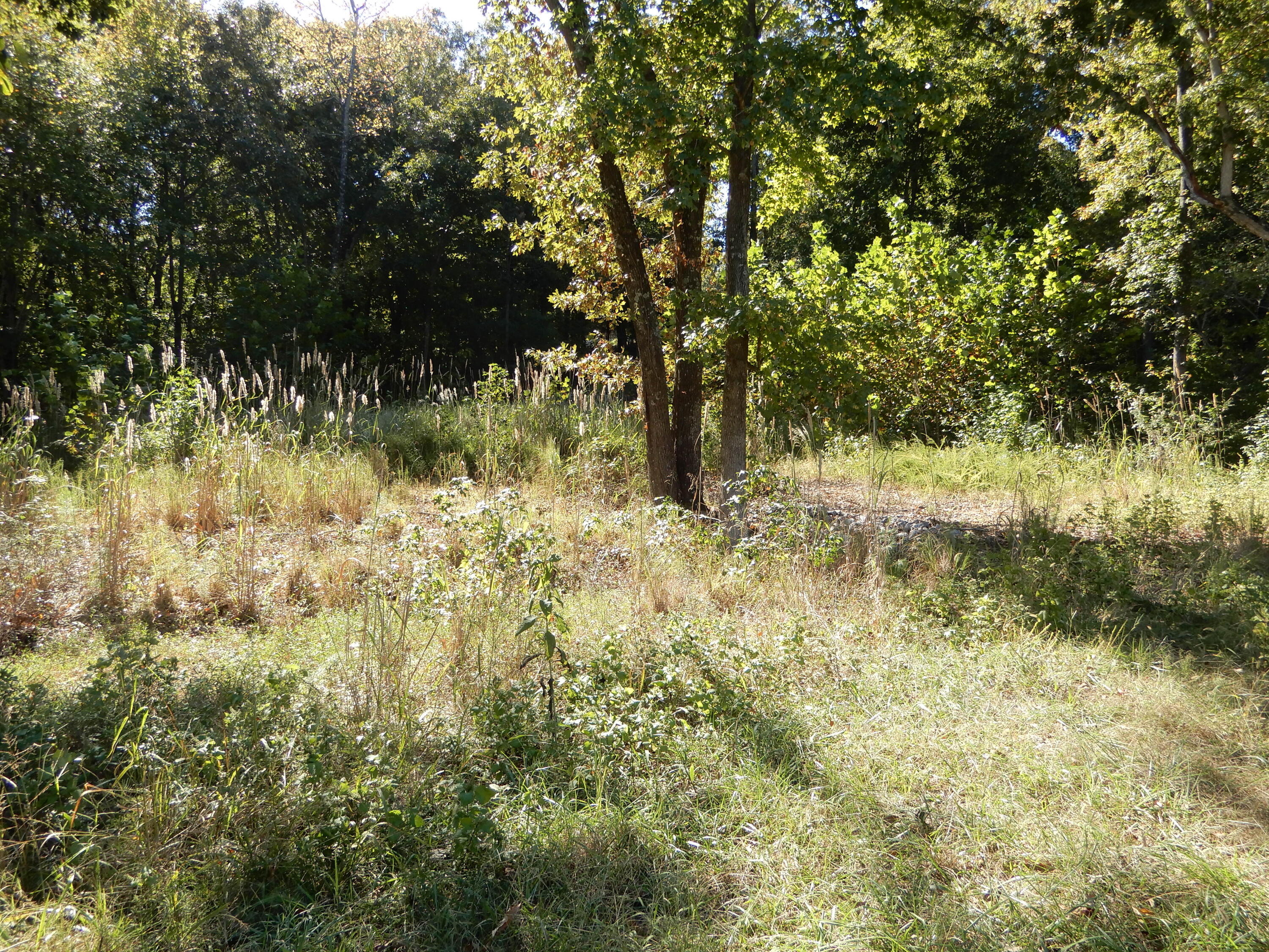 Lot 7 And 8 Roy Harris Road Property Photo 8