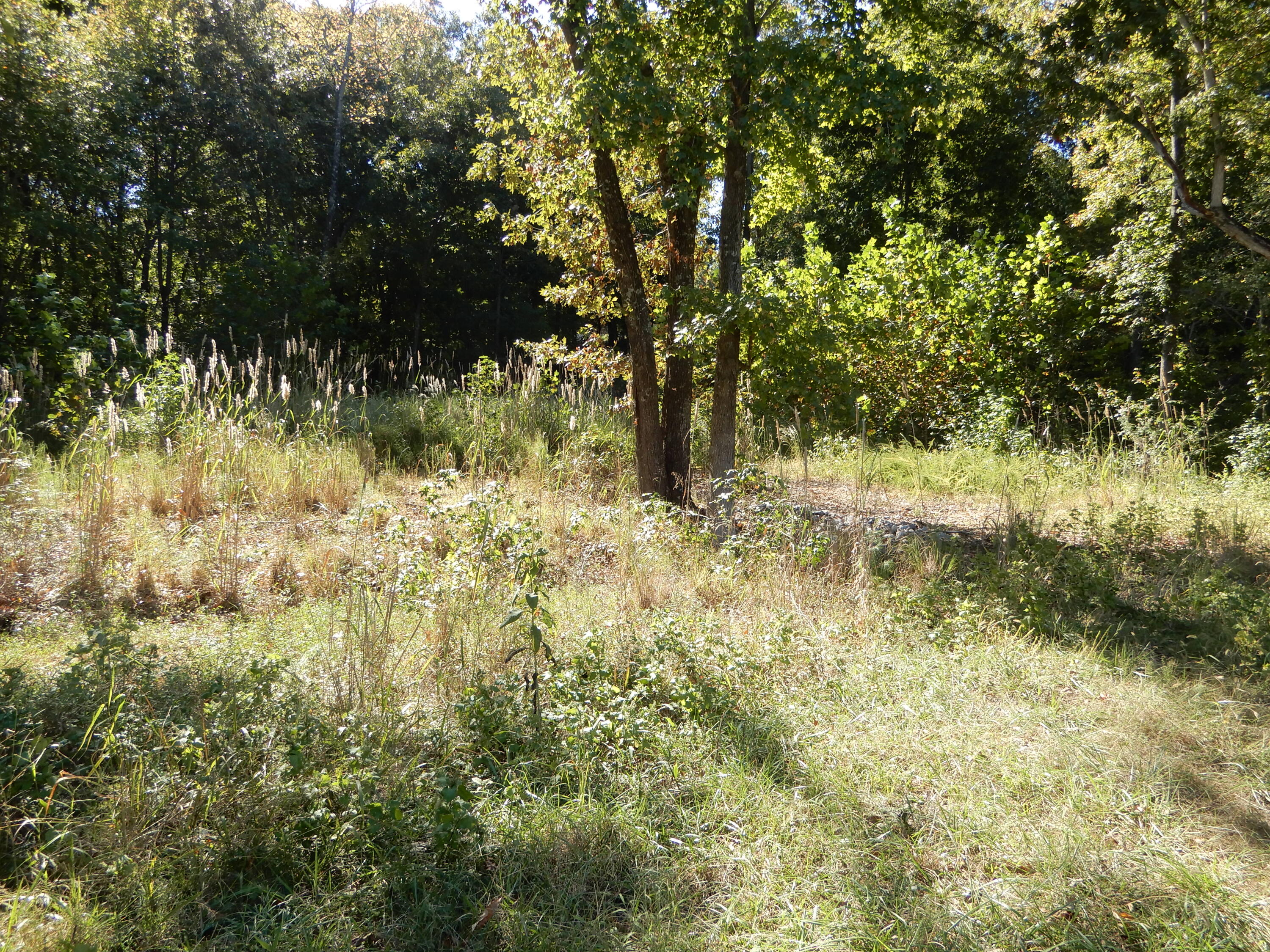 Lot 7 And 8 Roy Harris Road Property Photo 9