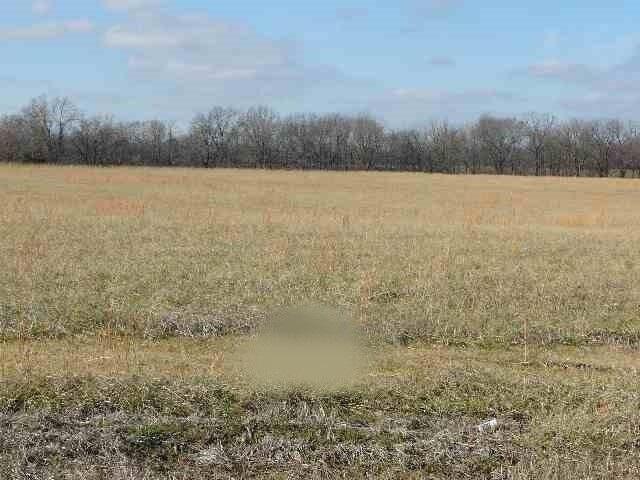 349 Ball Park Loop Property Photo 1