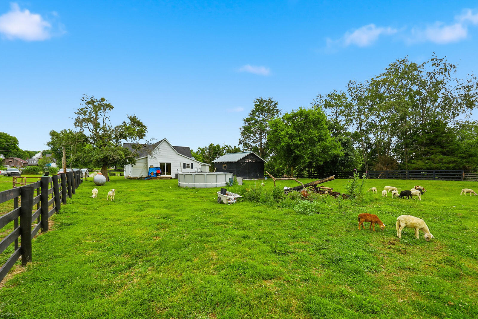 9622 Cornishville Road Property Photo 38