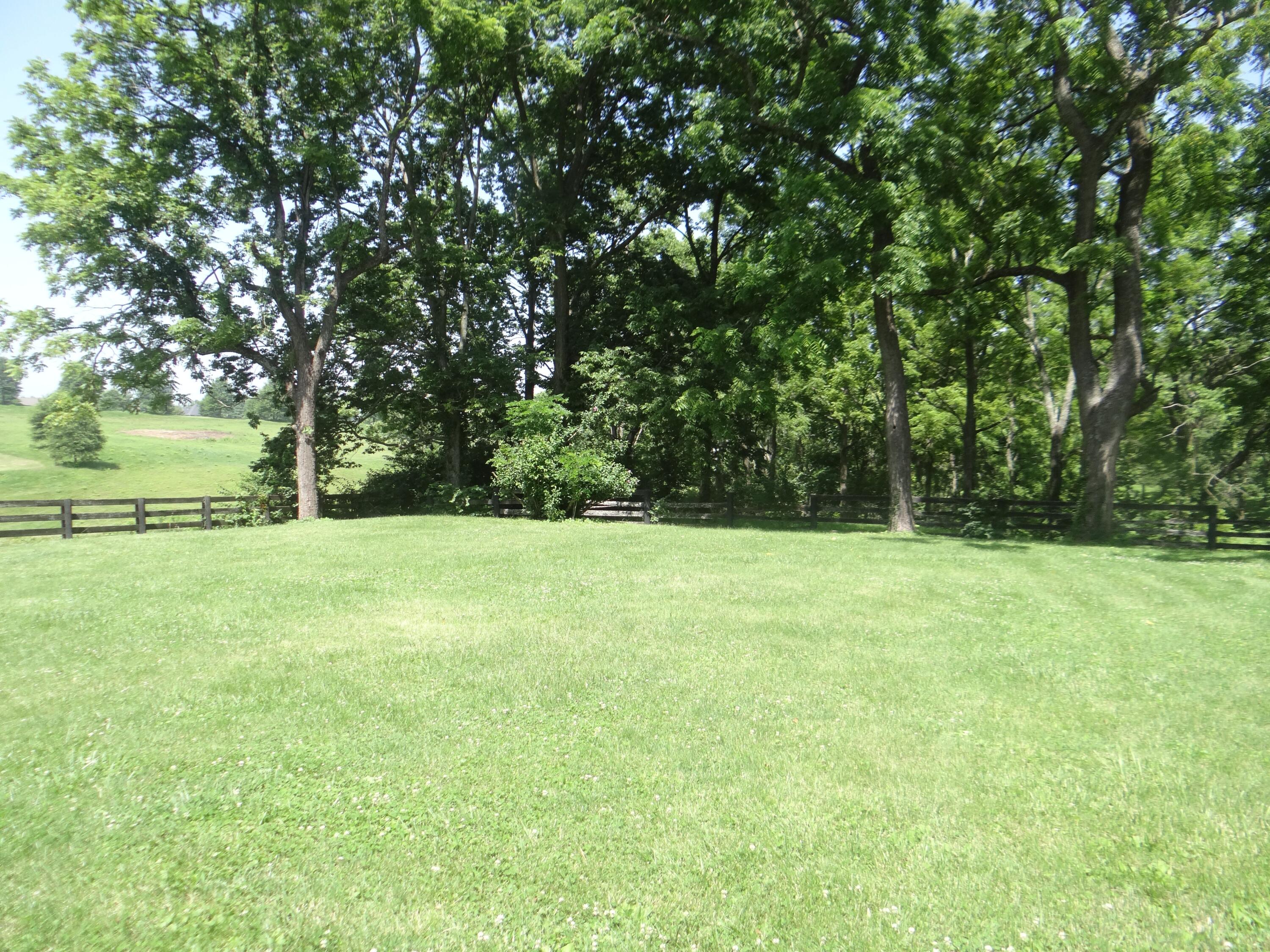 1116 Duckers Road Property Photo 17