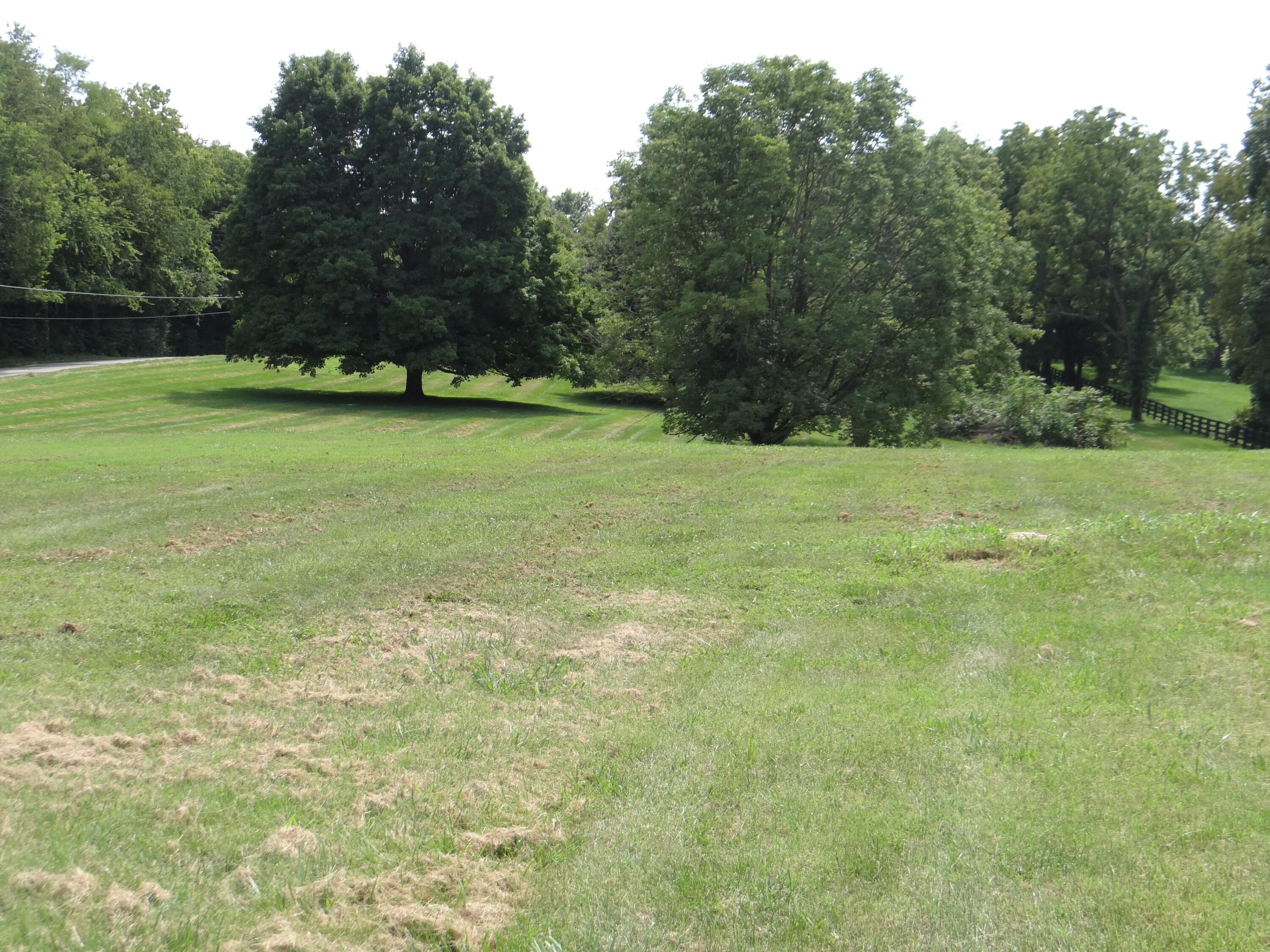 1116 Duckers Road Property Photo 18