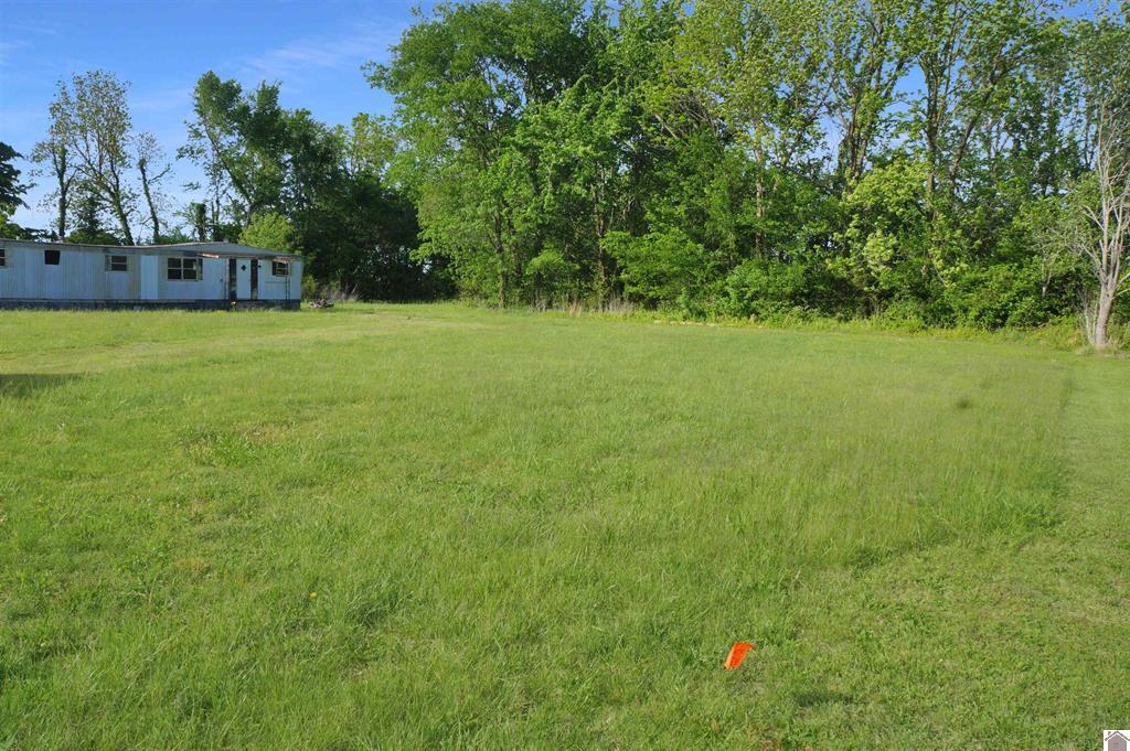 222 Almo Road Property Photo 3