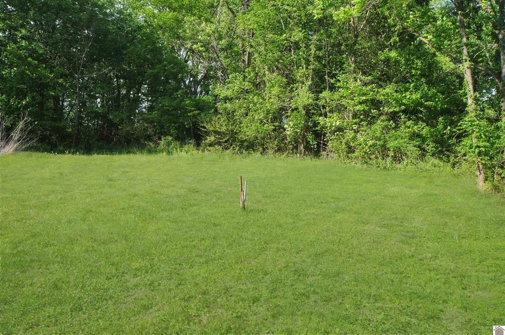 222 Almo Road Property Photo 6