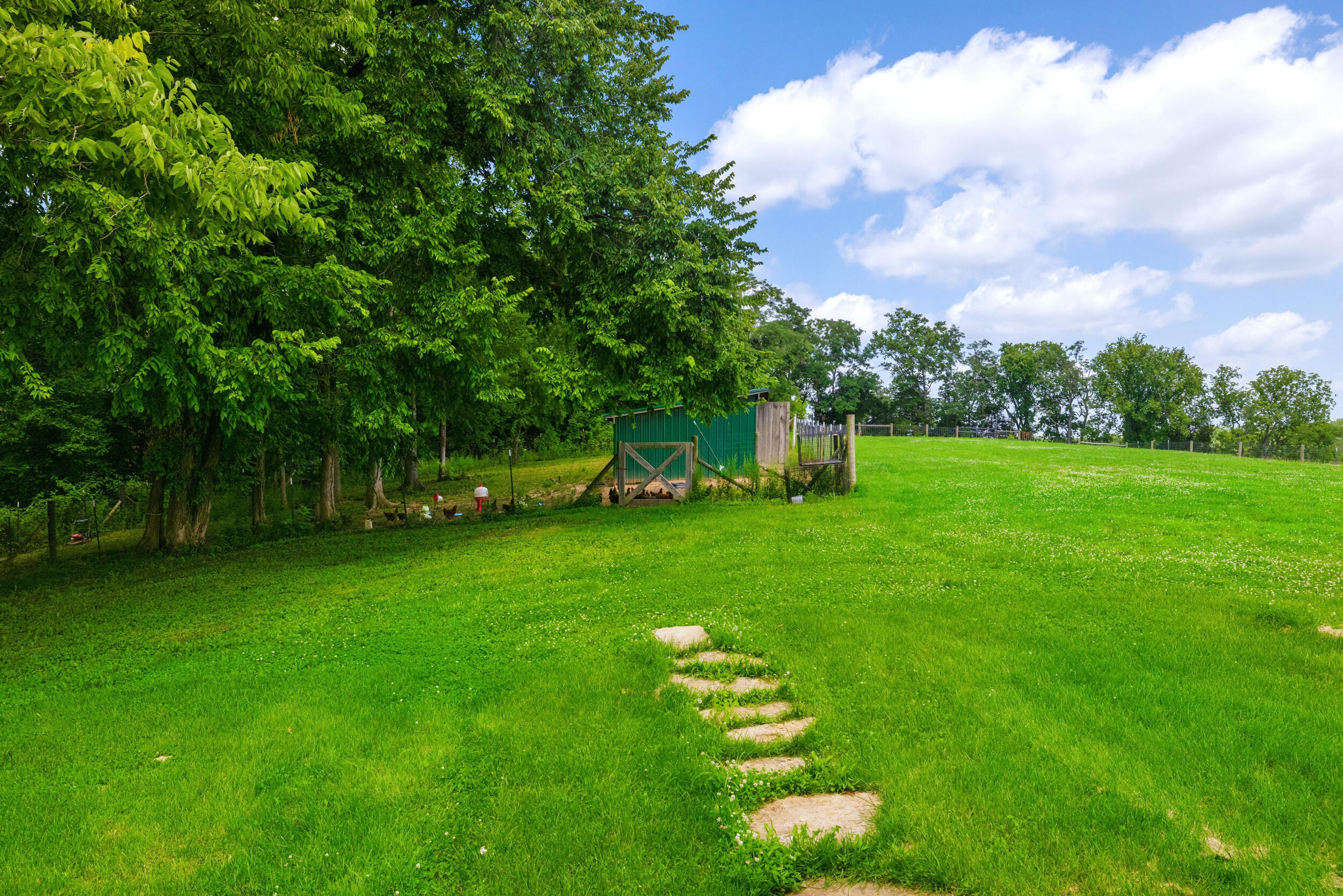 151 Kennedy Bridge Road Property Photo 48