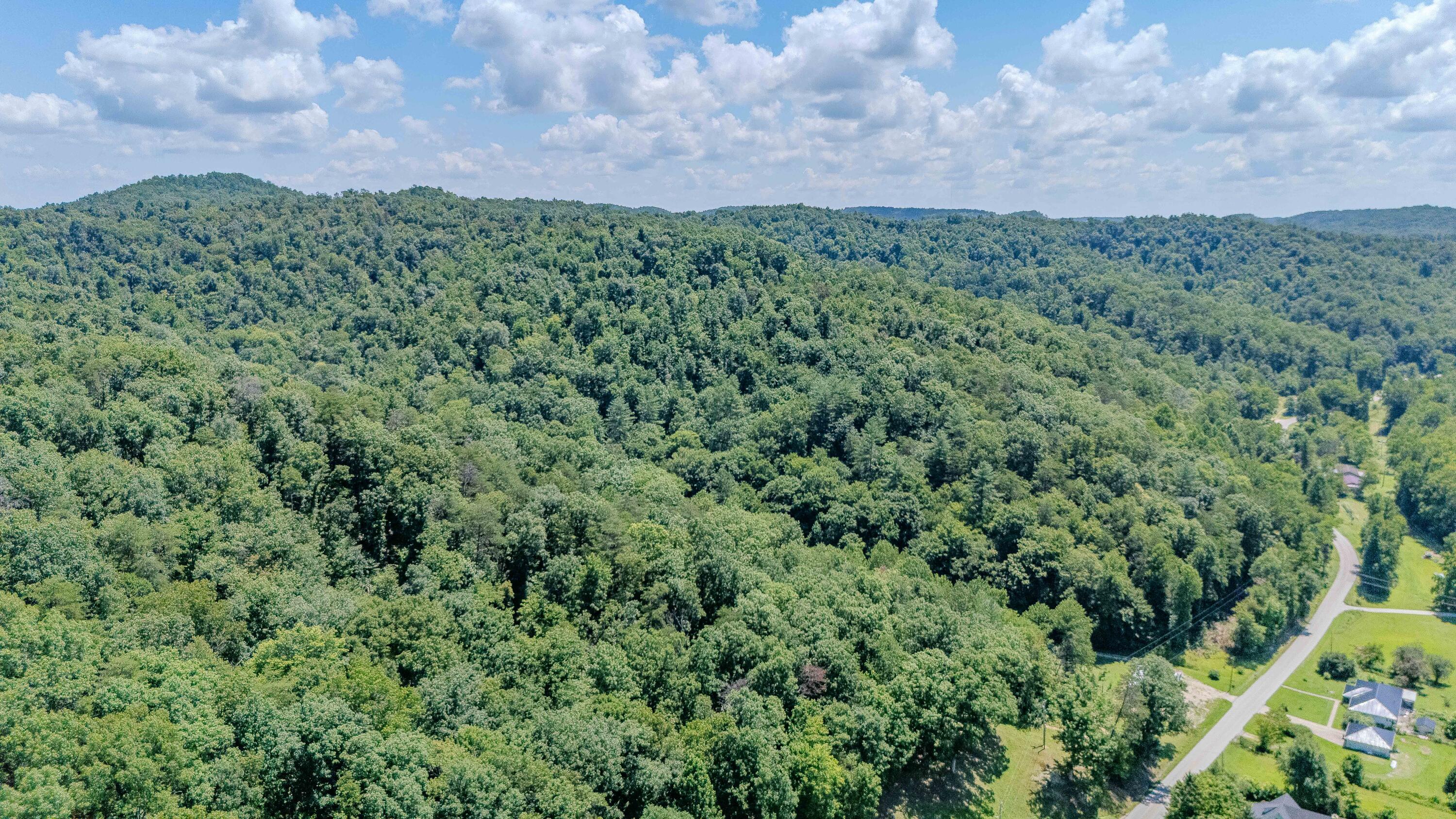 7466 Hawkins Branch Road Property Photo 49