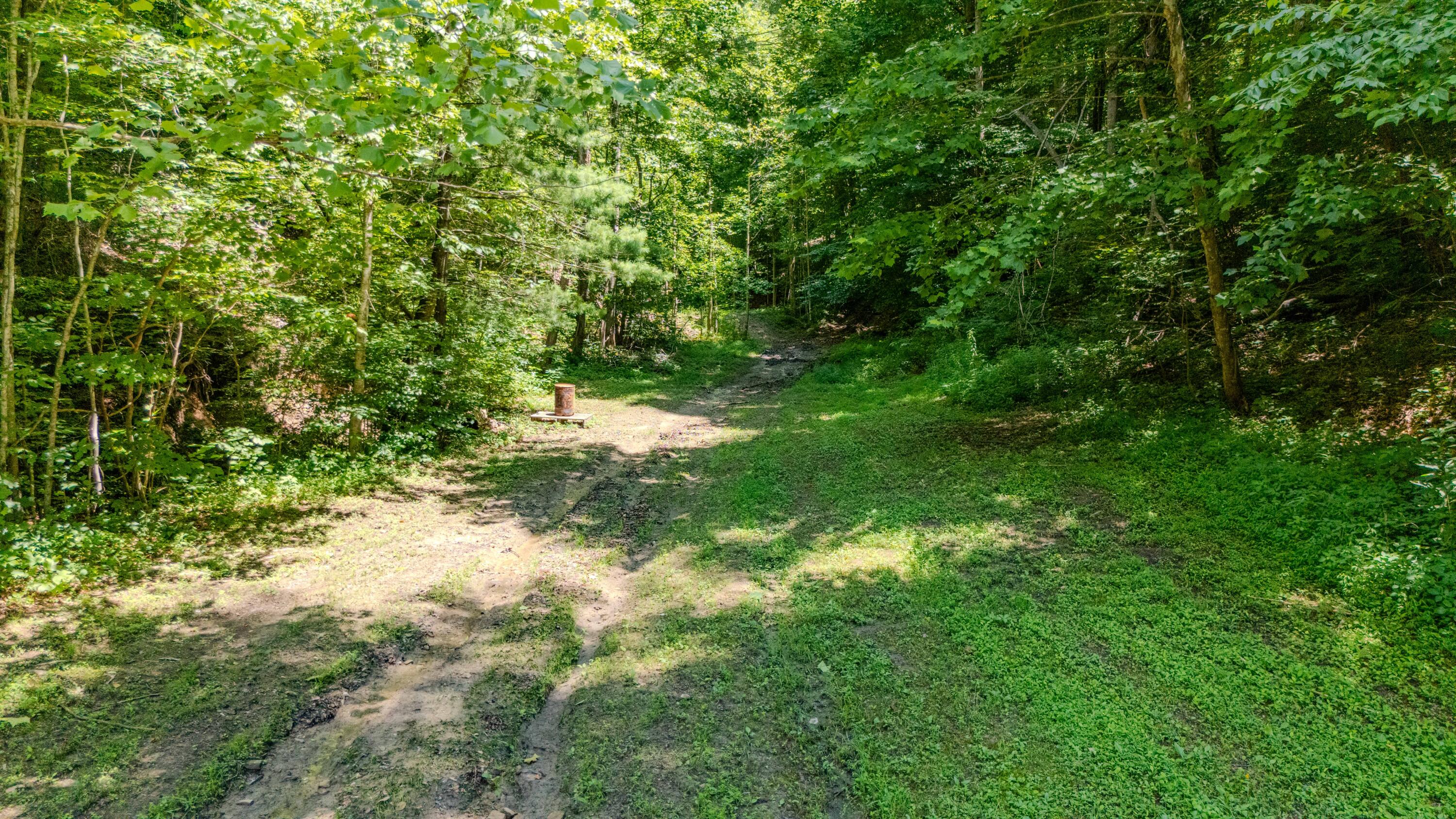 7466 Hawkins Branch Road Property Photo 60