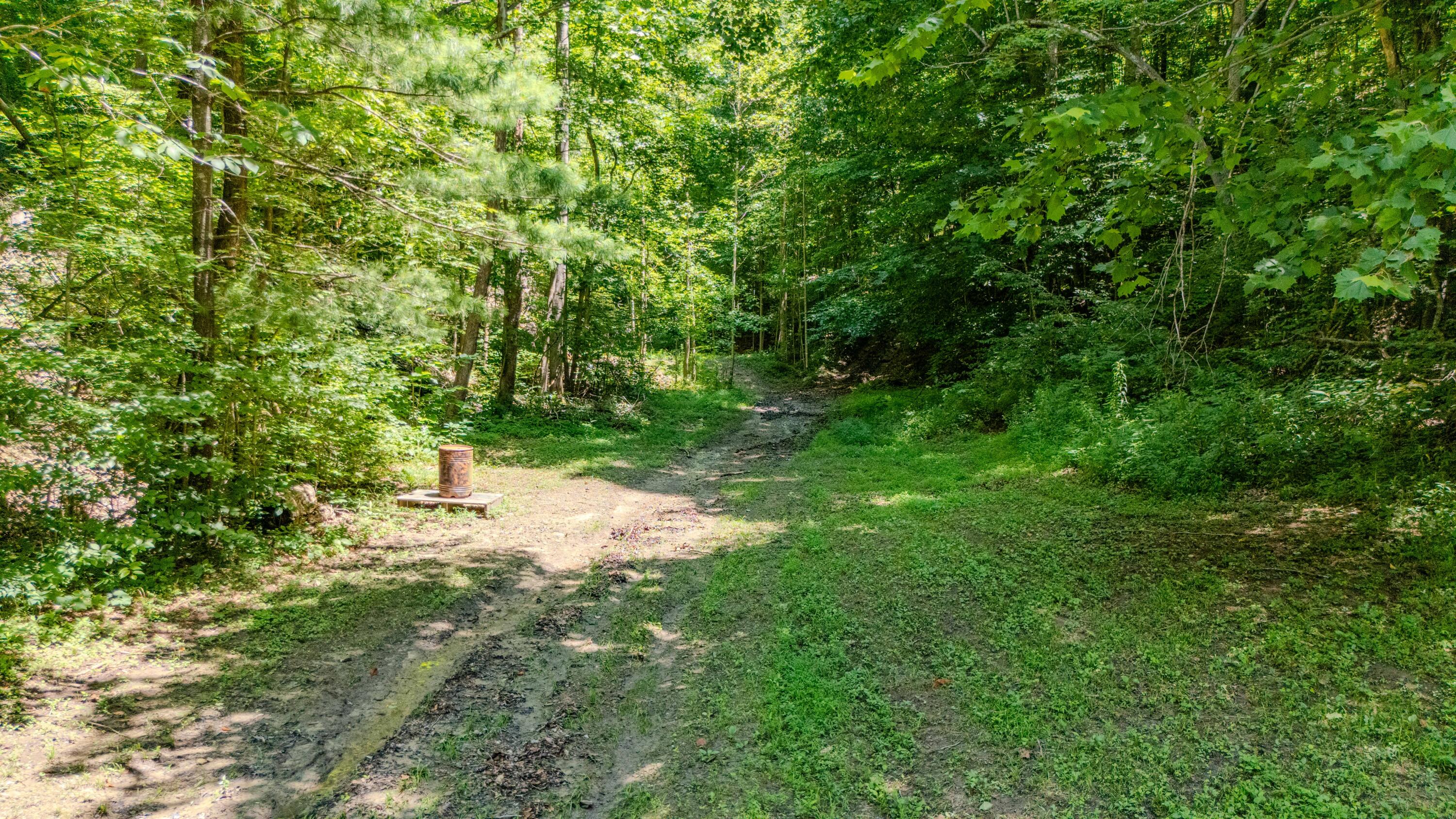7466 Hawkins Branch Road Property Photo 61