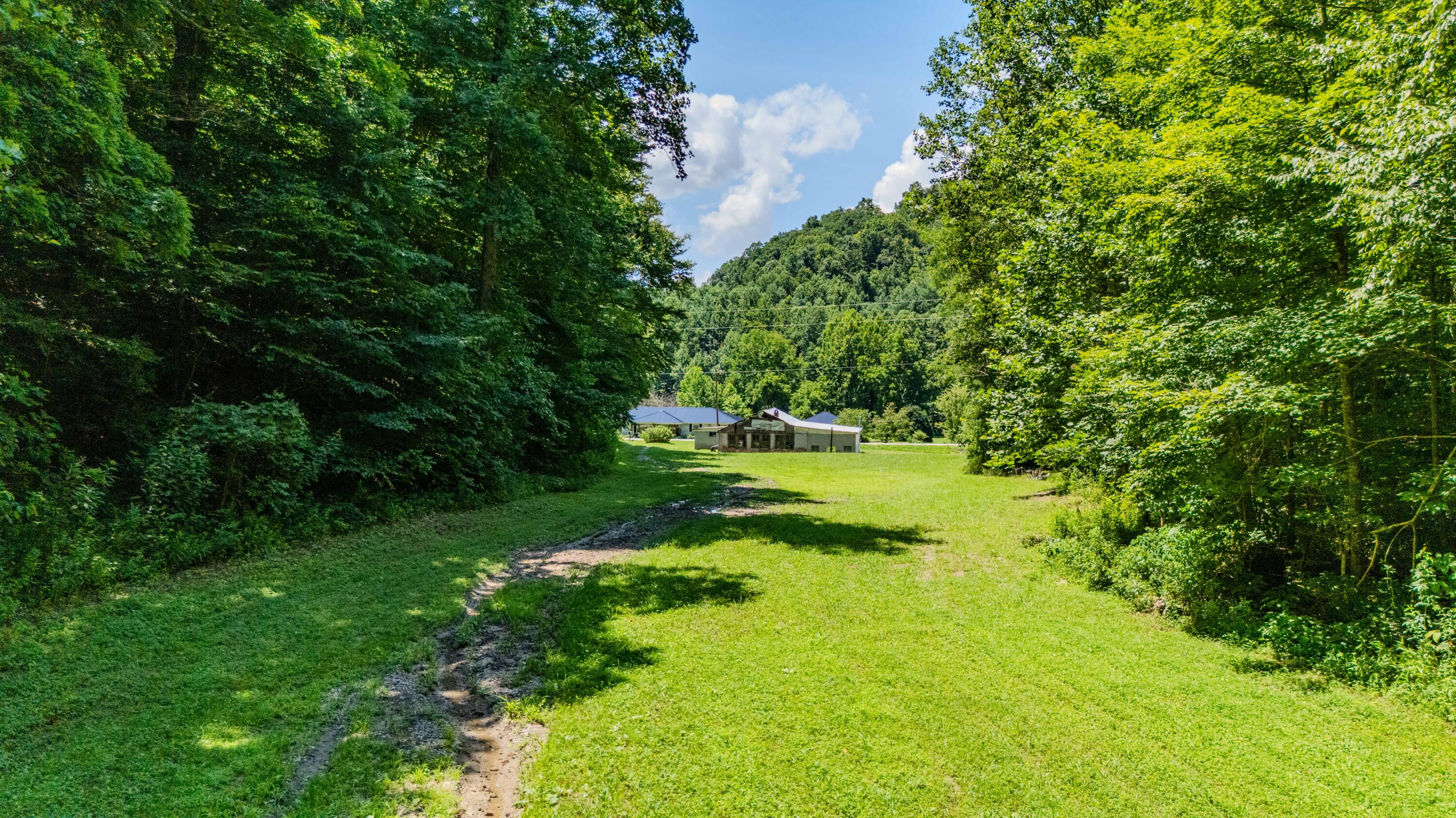 7466 Hawkins Branch Road Property Photo 63
