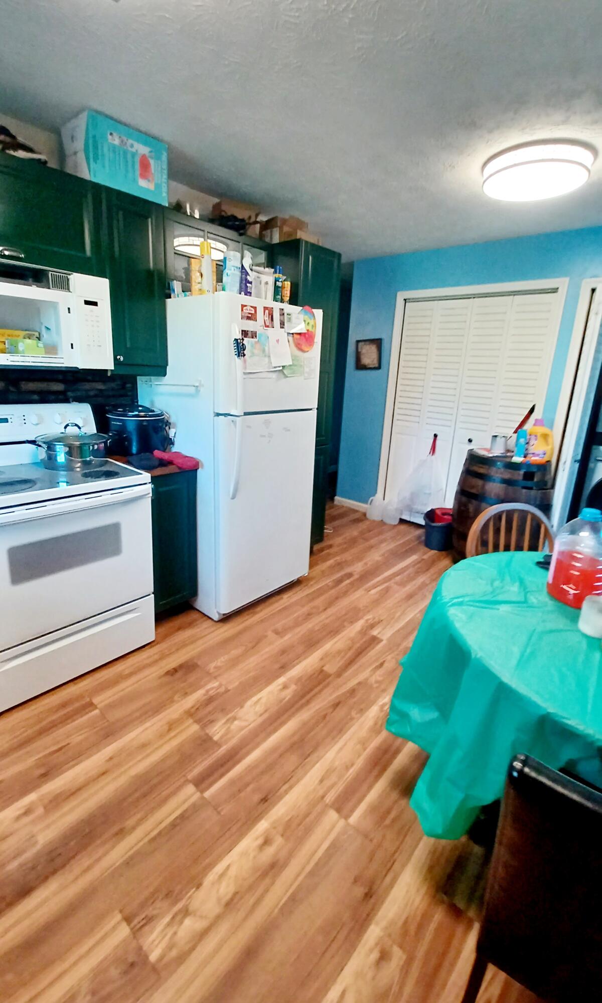 245 Brookside Drive Property Photo 9