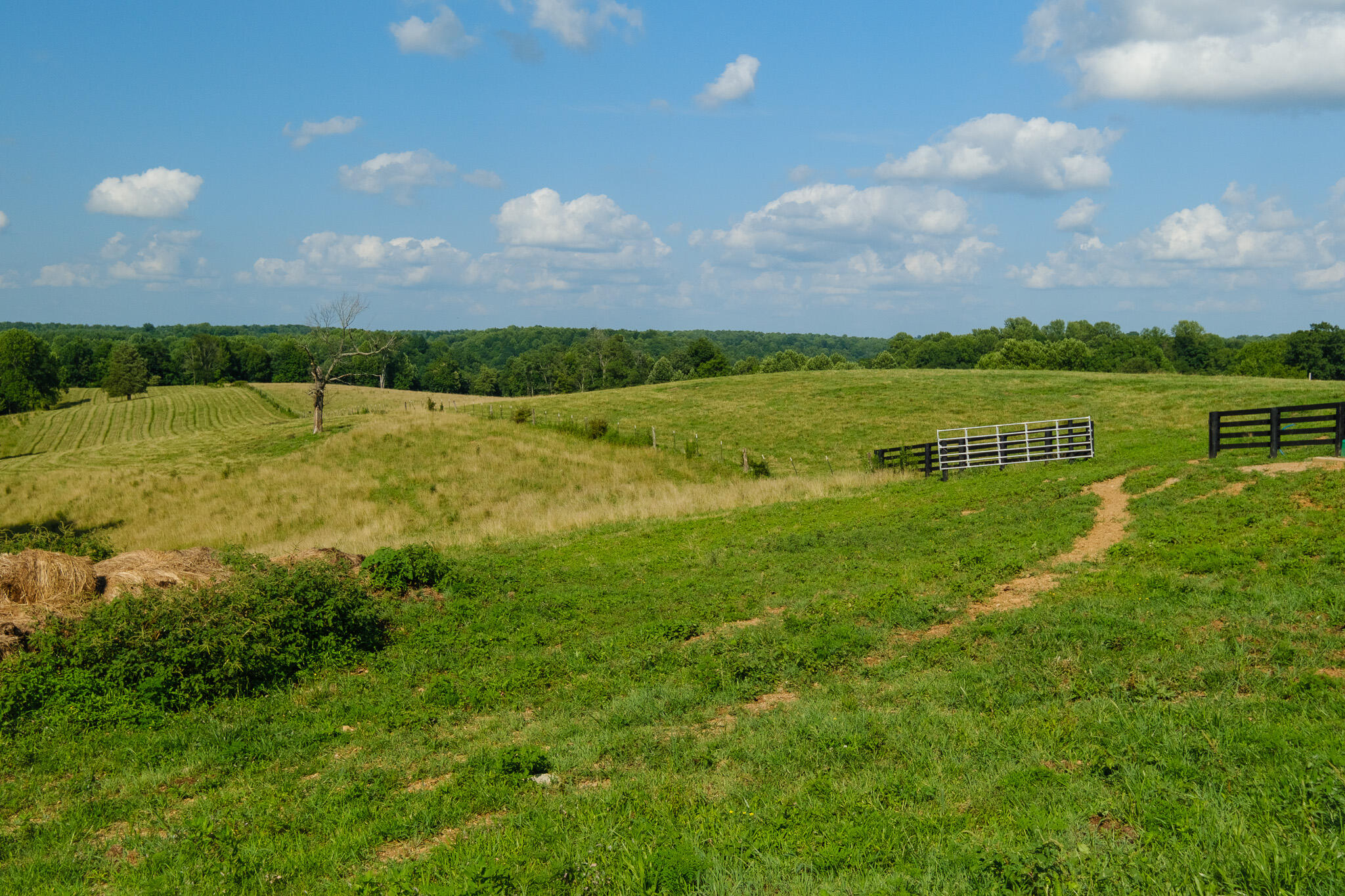 2511 Calvary Ridge Road Property Photo 45