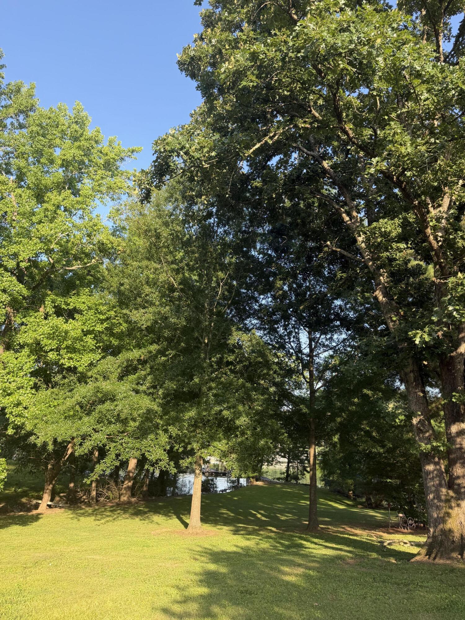 484 Blue Springs Boulevard Property Photo 12