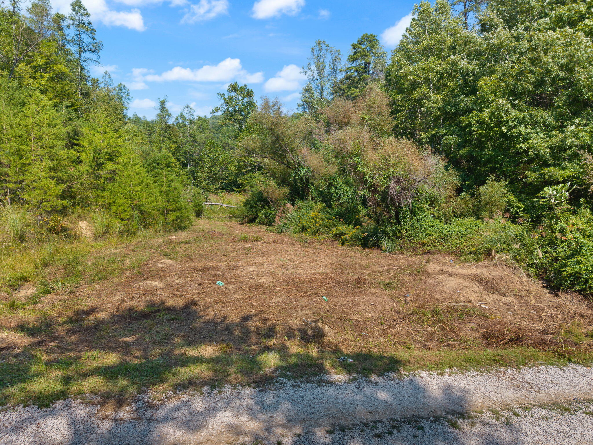 9999 Painters Lick Road Property Photo 3