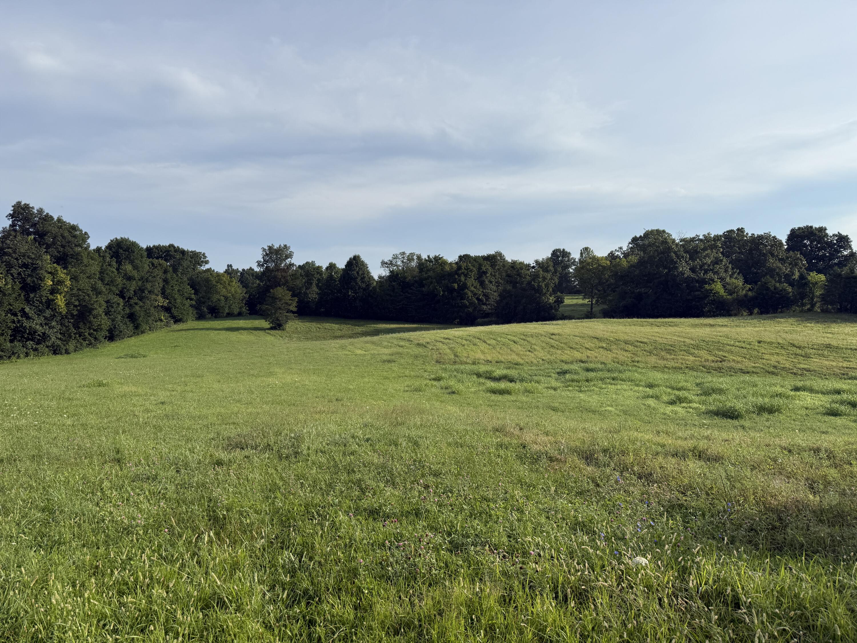 10.42 Acres Devils Hollow Road Property Photo 1