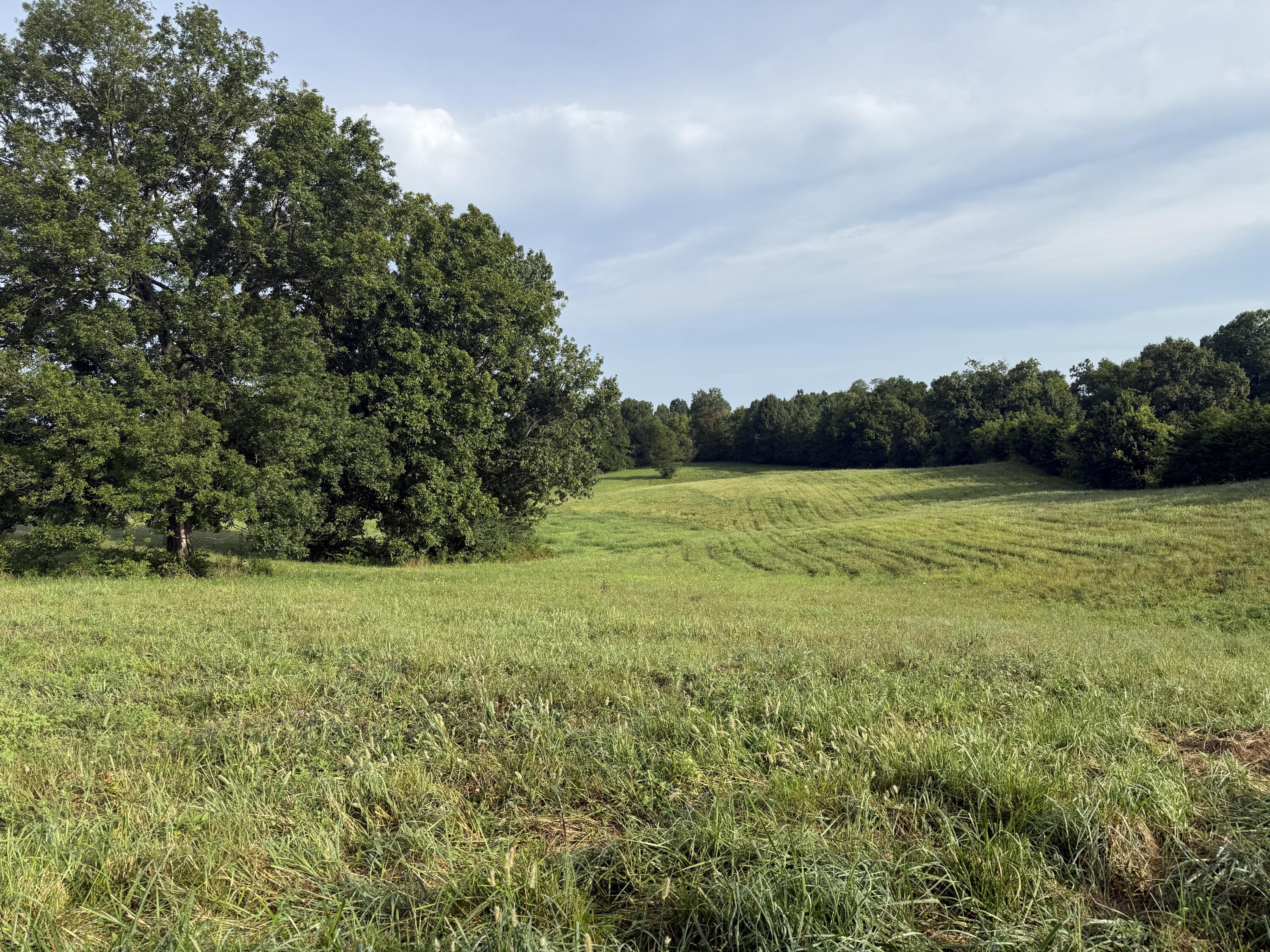 10.42 Acres Devils Hollow Road Property Photo 3