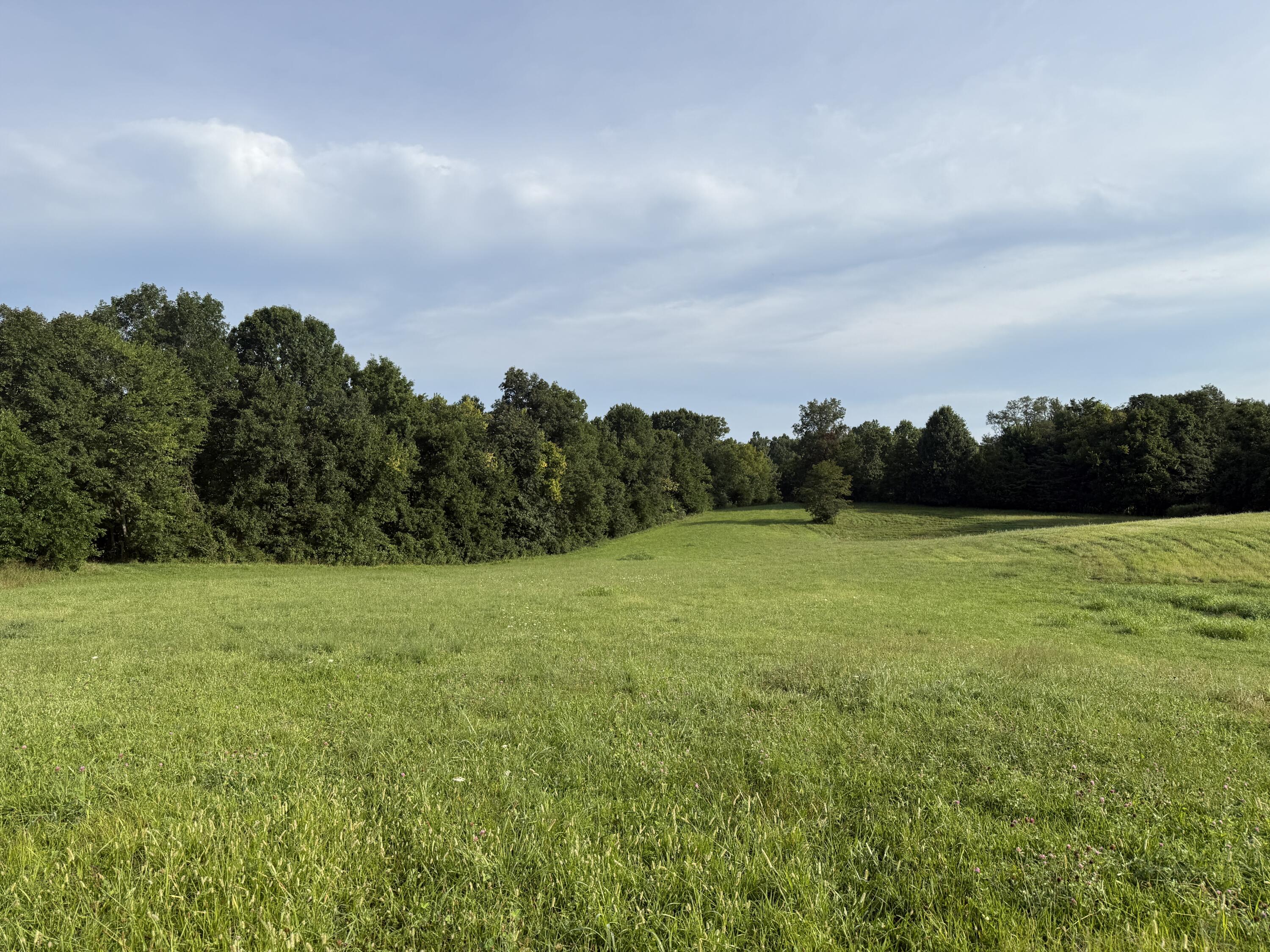 10.42 Acres Devils Hollow Road Property Photo 4