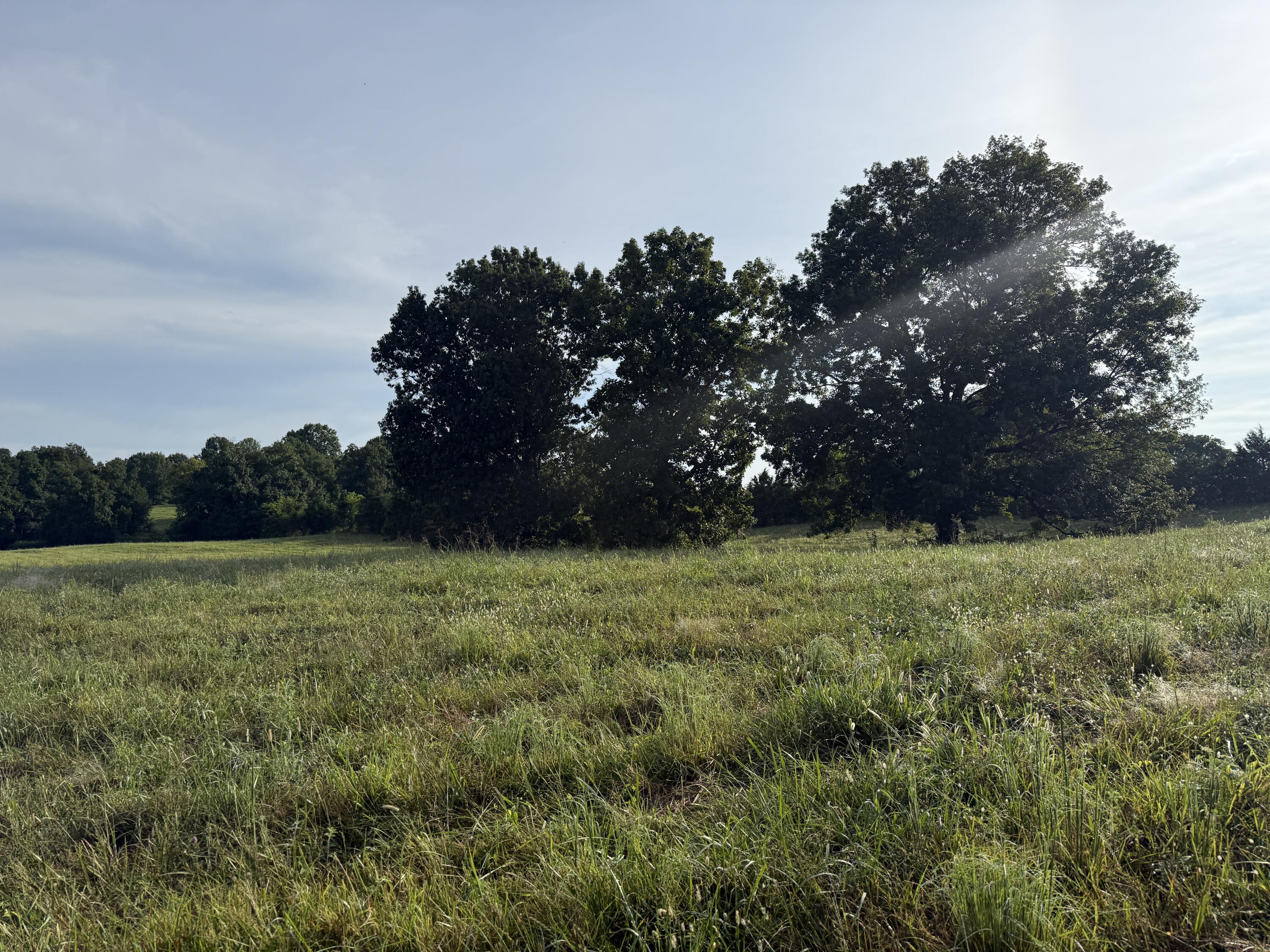 10.42 Acres Devils Hollow Road Property Photo 5