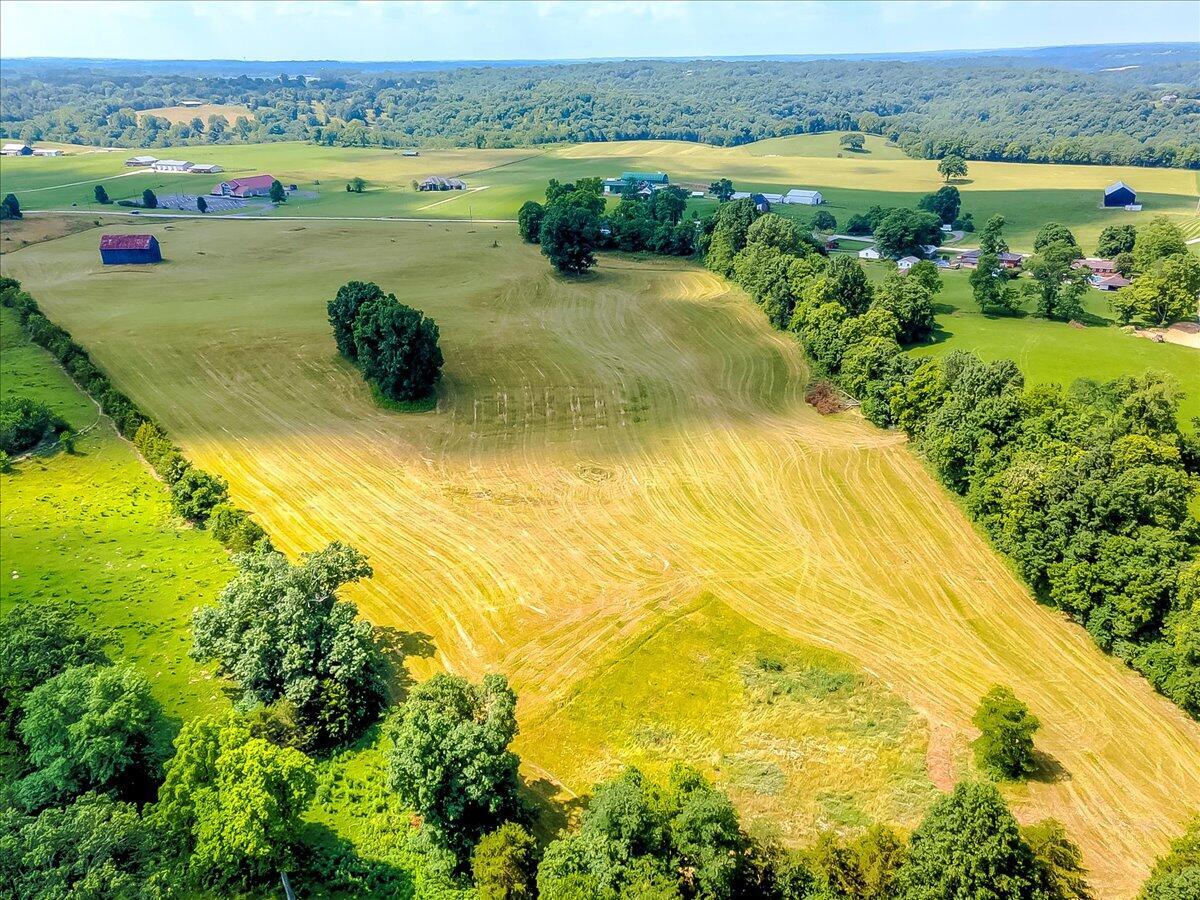 10.42 Acres Devils Hollow Road Property Photo 6