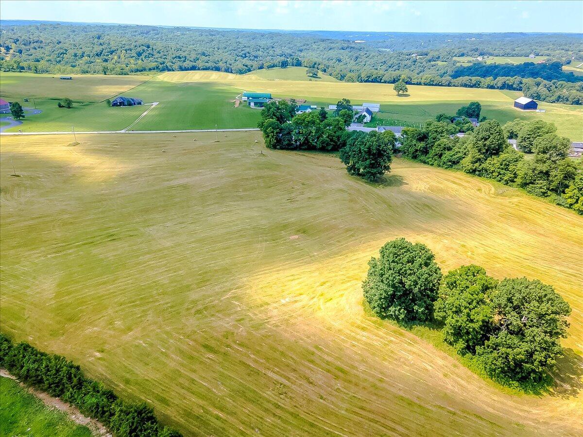 10.42 Acres Devils Hollow Road Property Photo 7