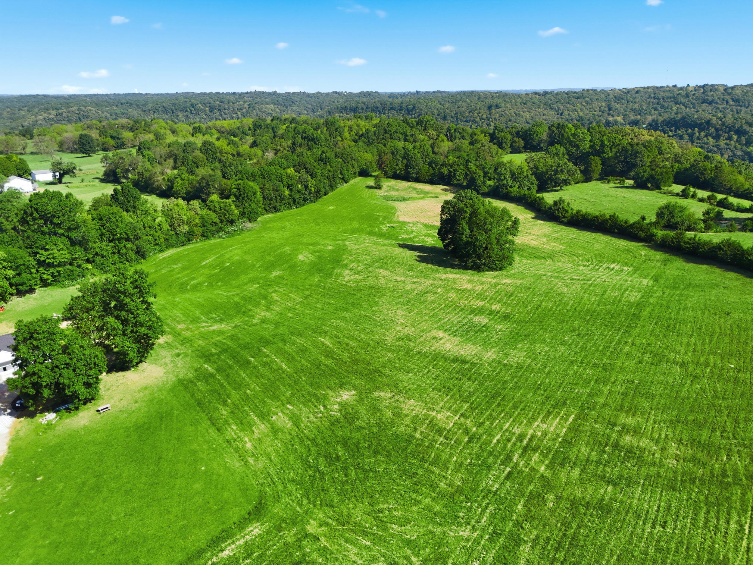10.42 Acres Devils Hollow Road Property Photo 9