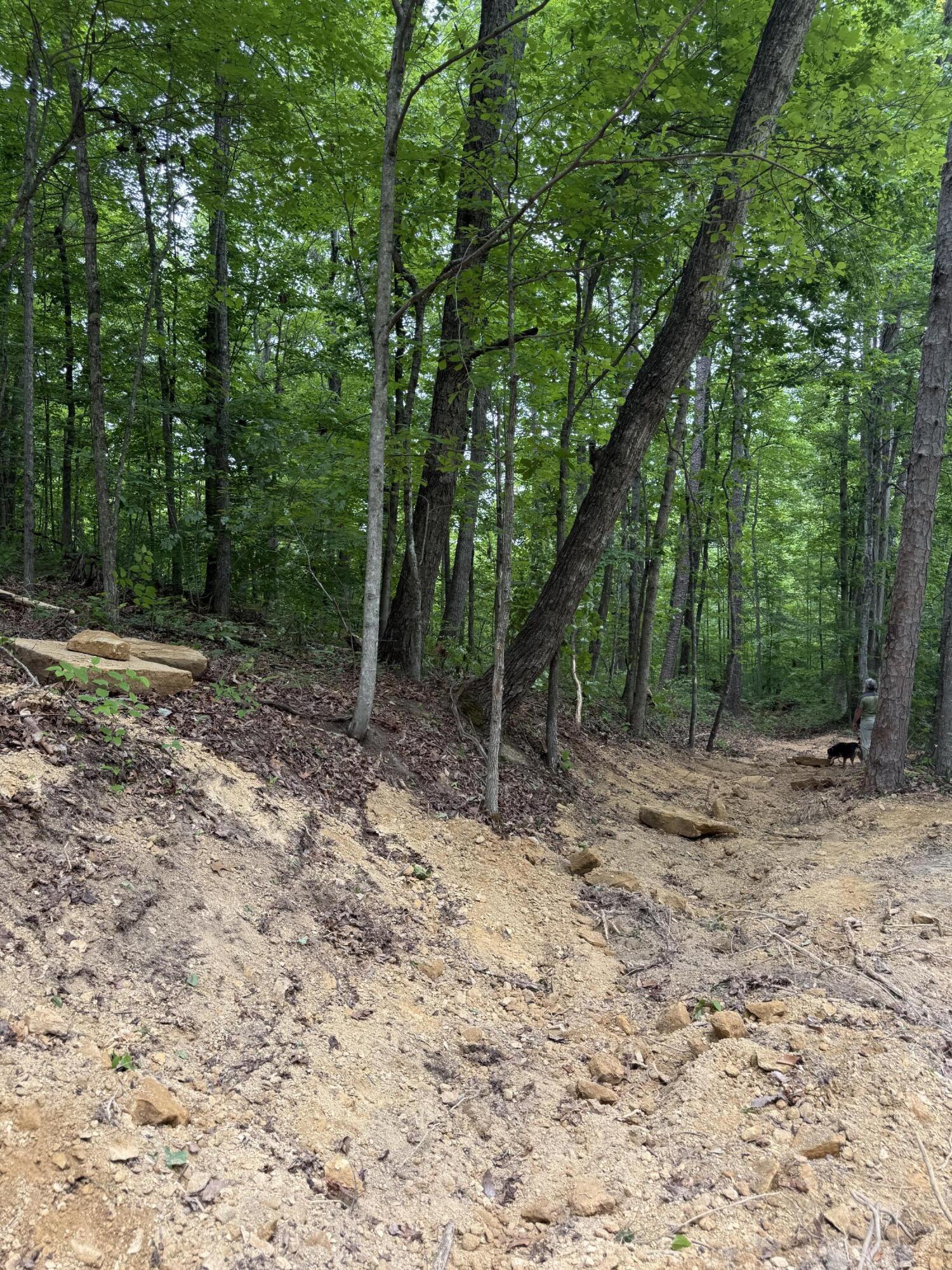 Lot 167 Ashland Camp Loop Property Photo 2