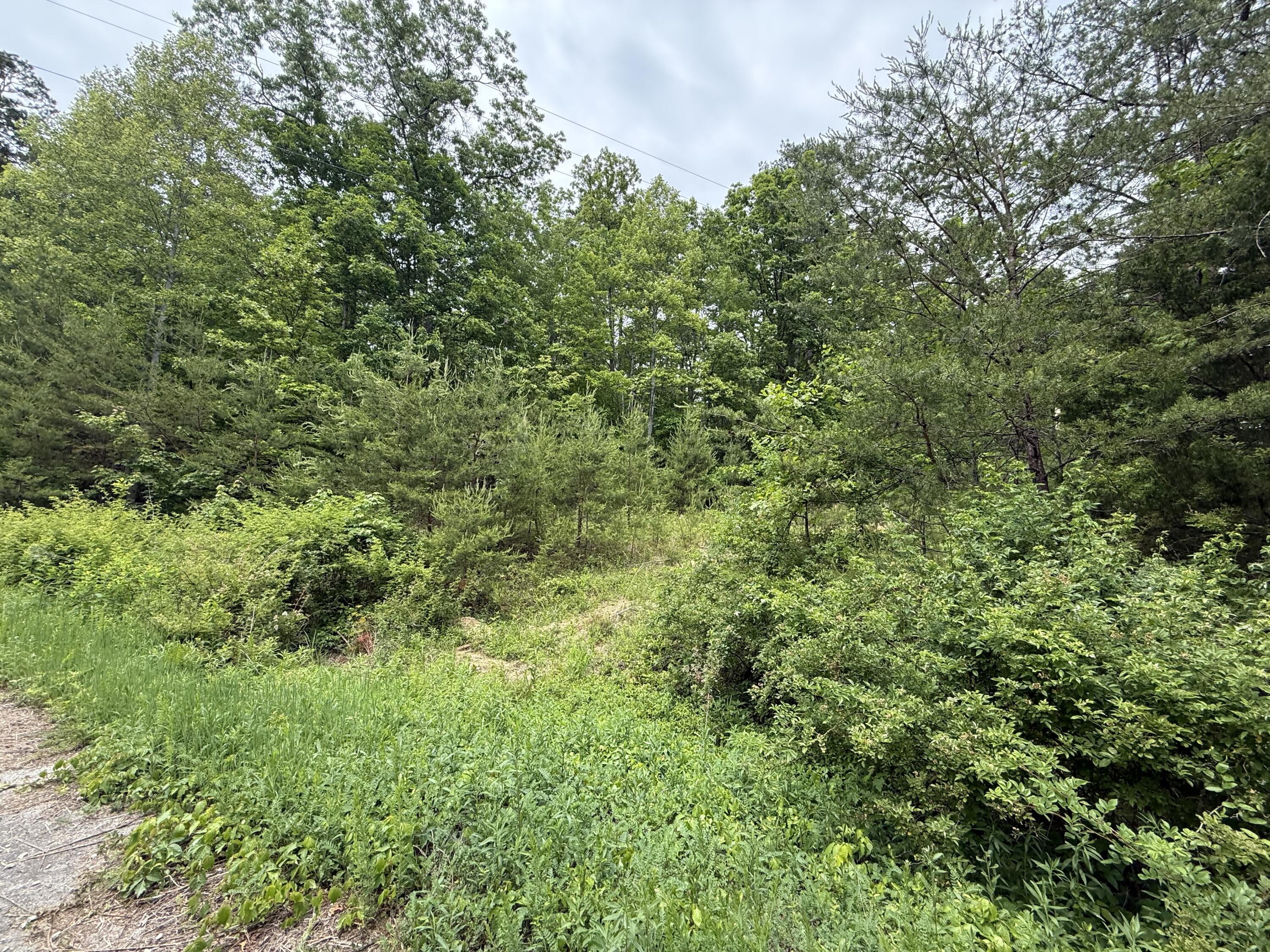 Lot 167 Ashland Camp Loop Property Photo 7
