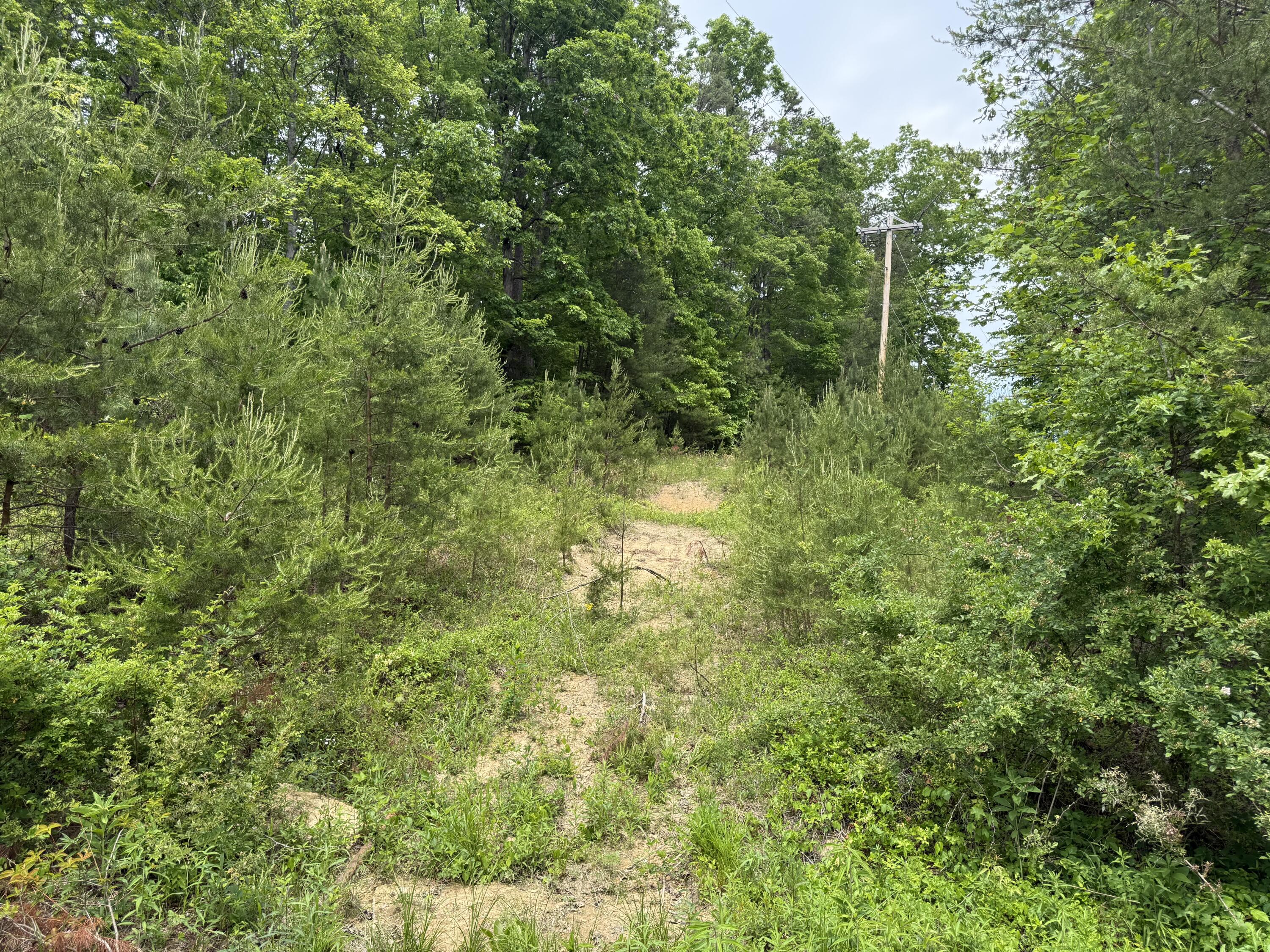 Lot 167 Ashland Camp Loop Property Photo 9