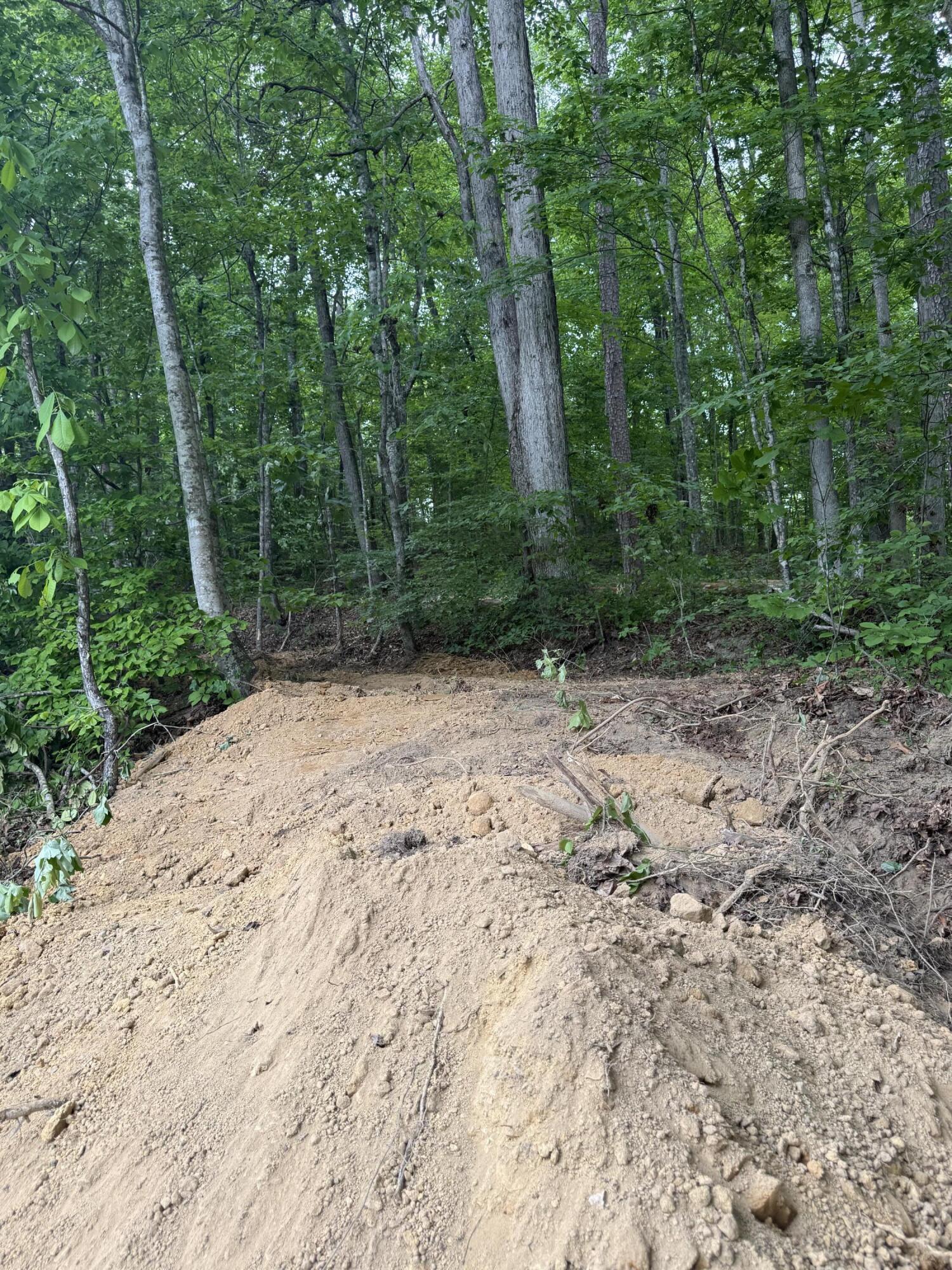 Lot 164 Ashland Camp Loop Property Photo 1
