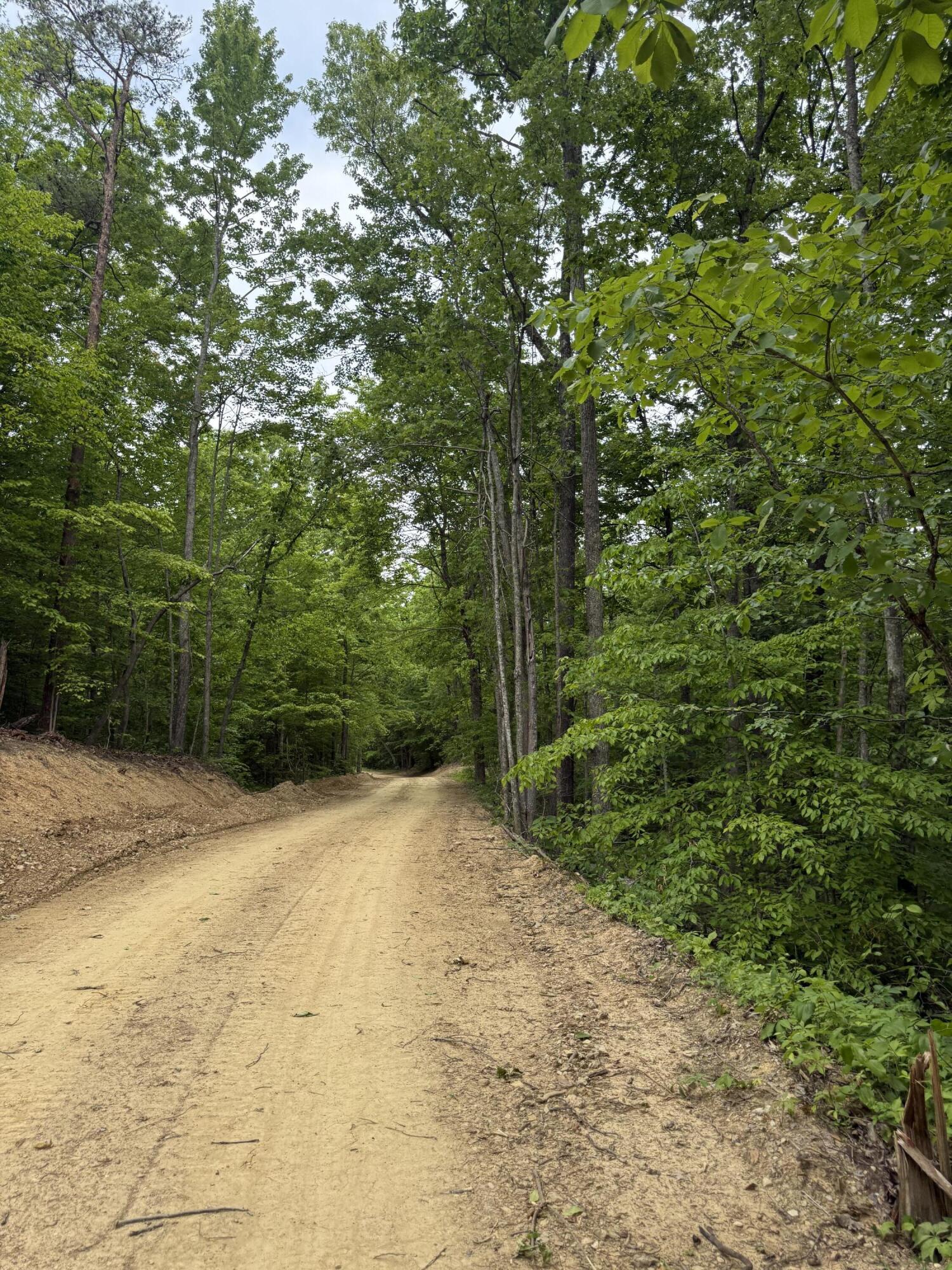 Lot 164 Ashland Camp Loop Property Photo 4
