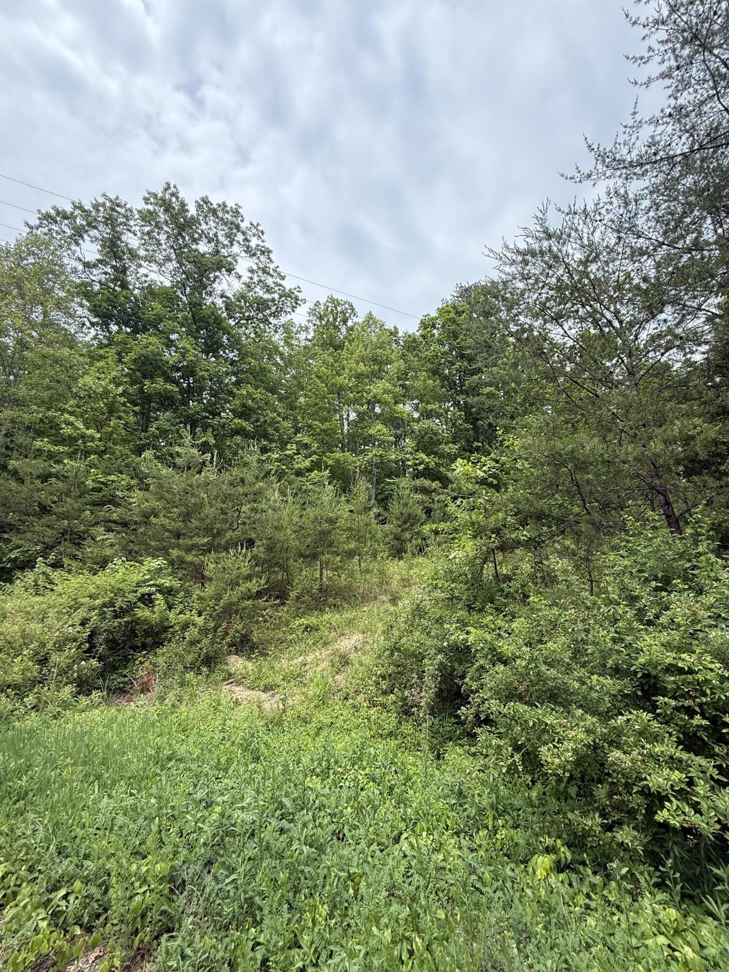Lot 163 Ashland Camp Loop Property Photo 8