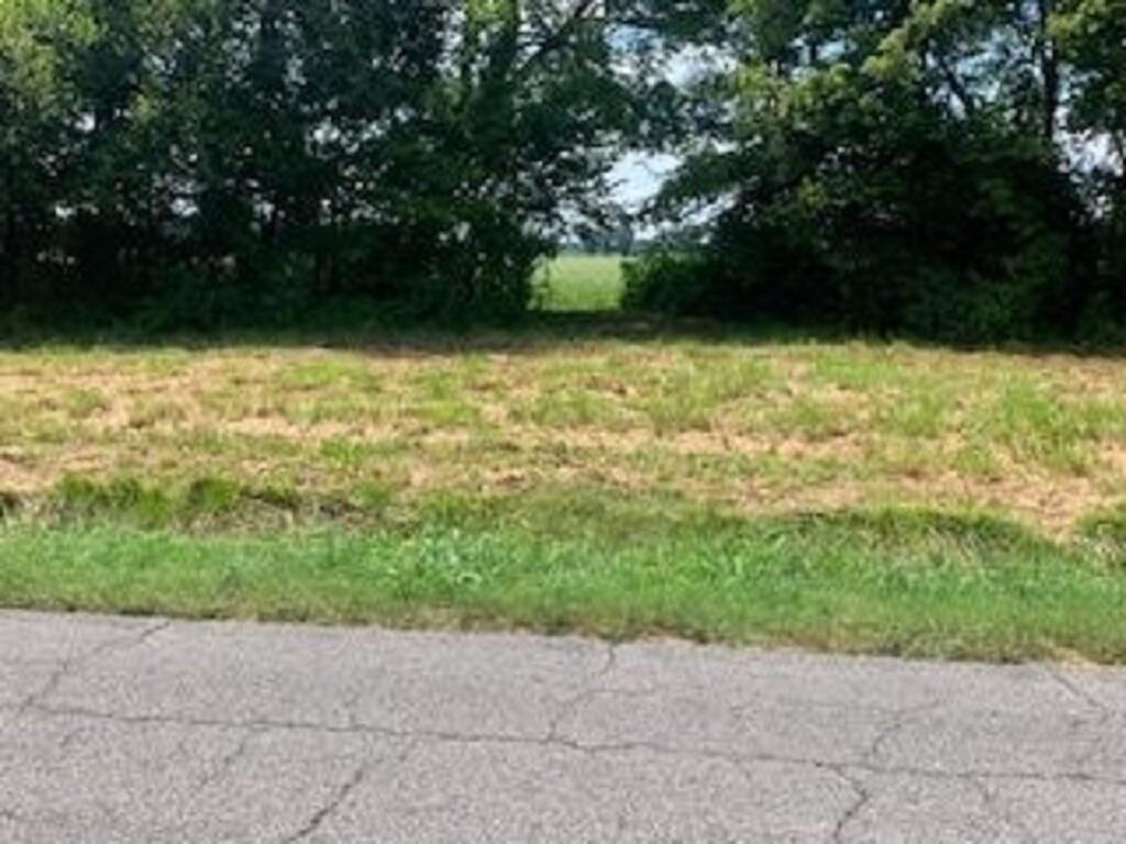 473 Needmore Road Property Photo 3