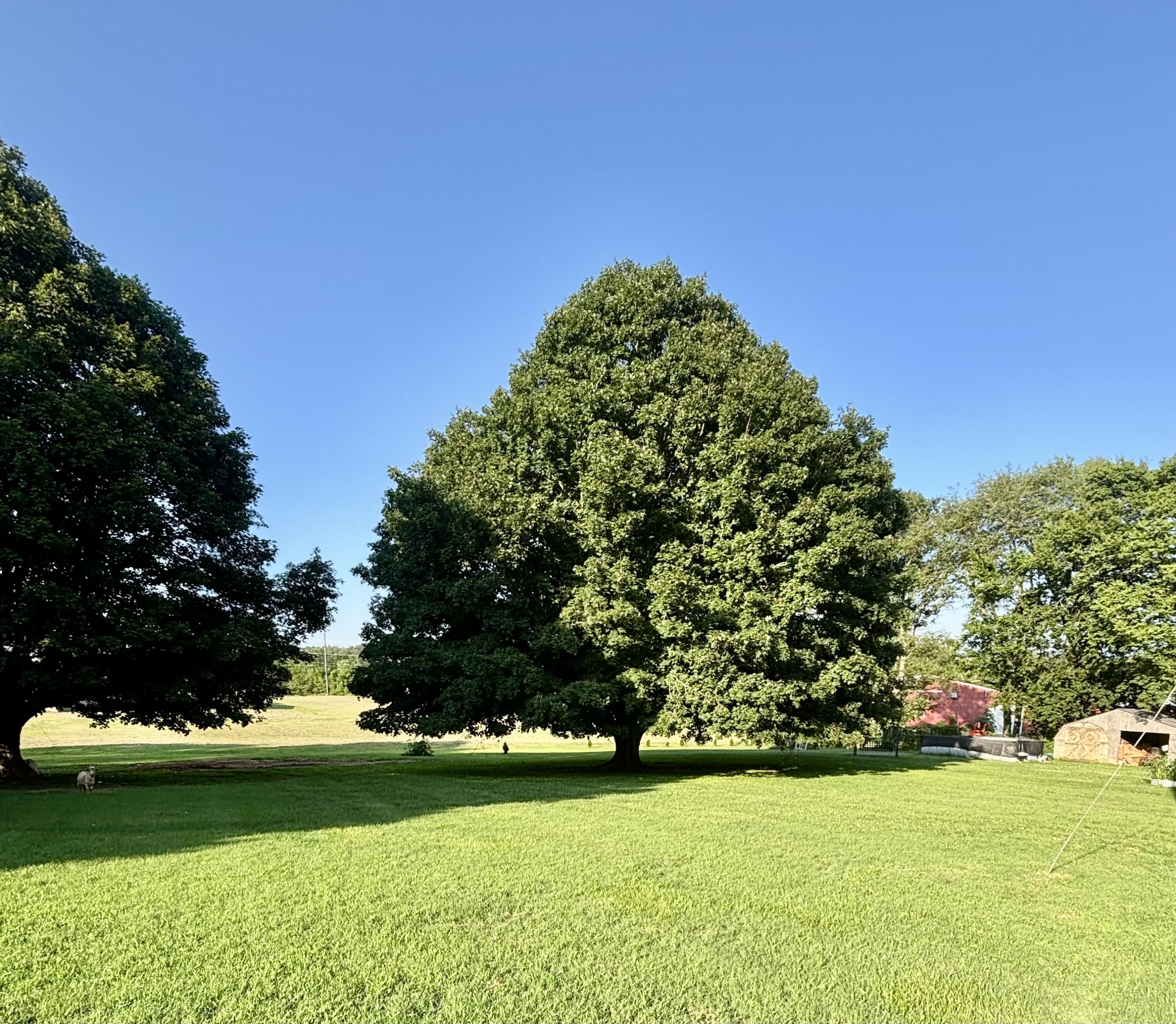 730 Shelby Road Property Photo 21