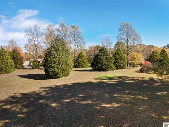 92 Timmons Lane Property Photo 35