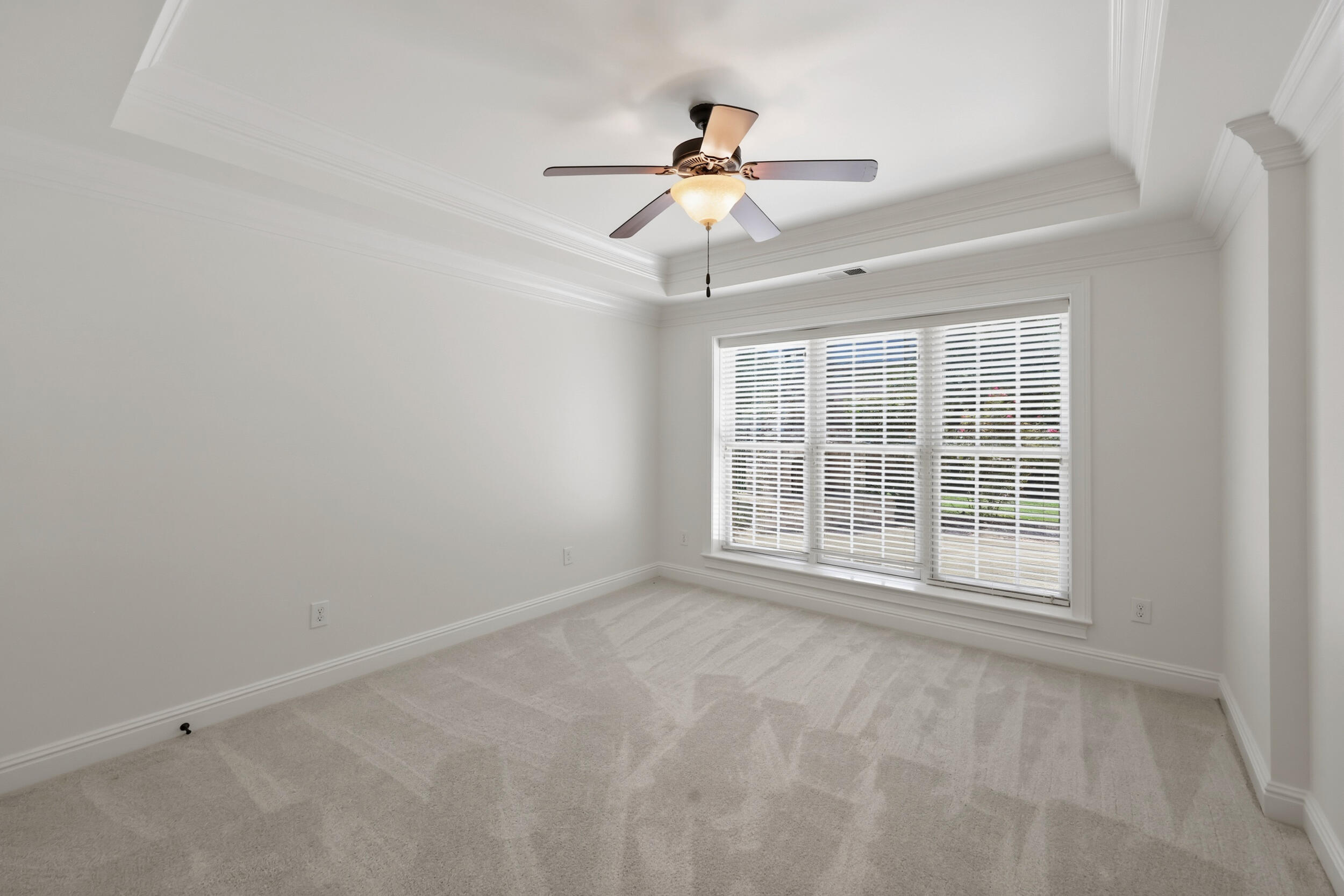 3661 Horsemint Trail Property Photo 39
