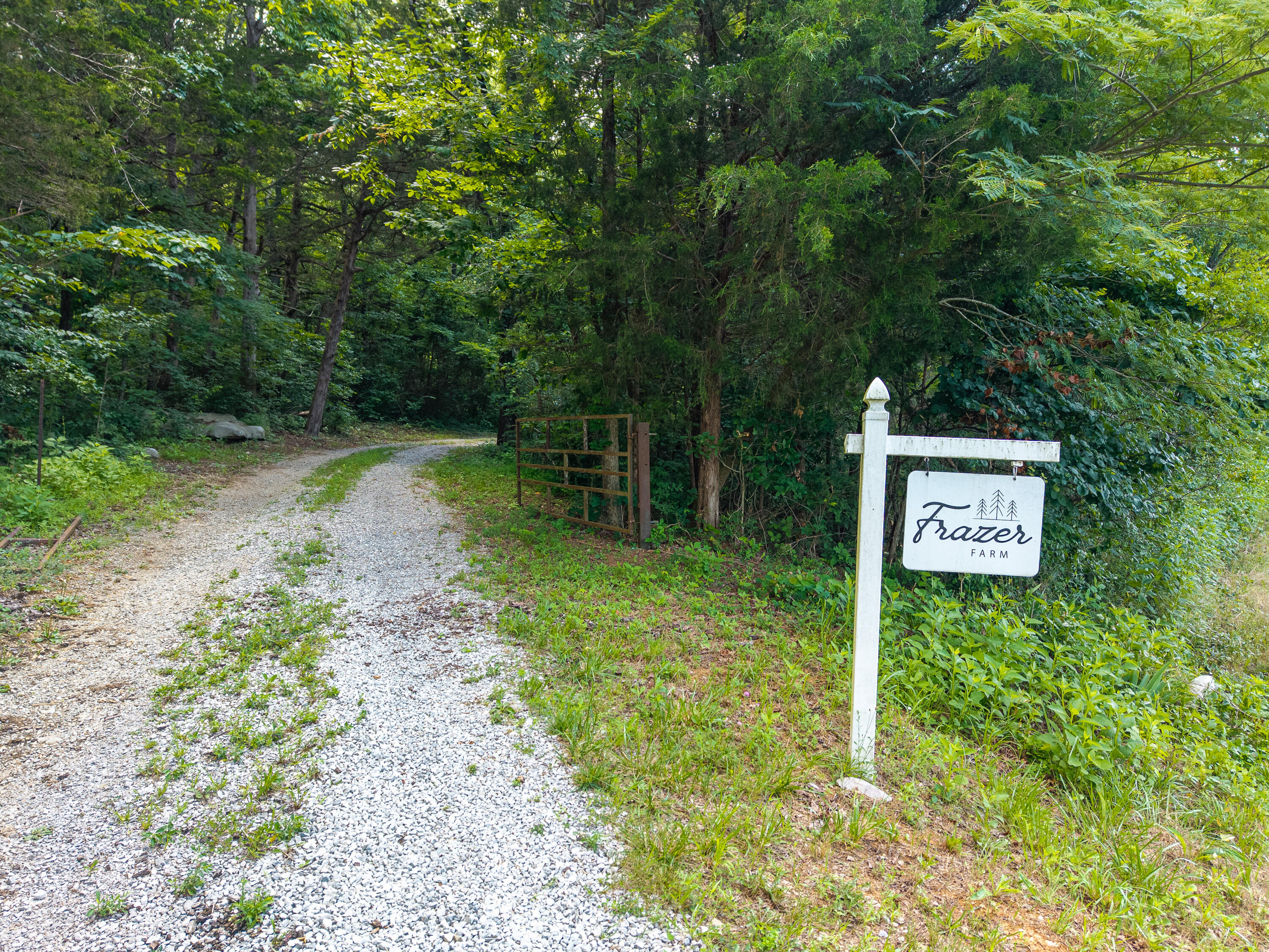 5192 Highway 1619 Property Photo 6