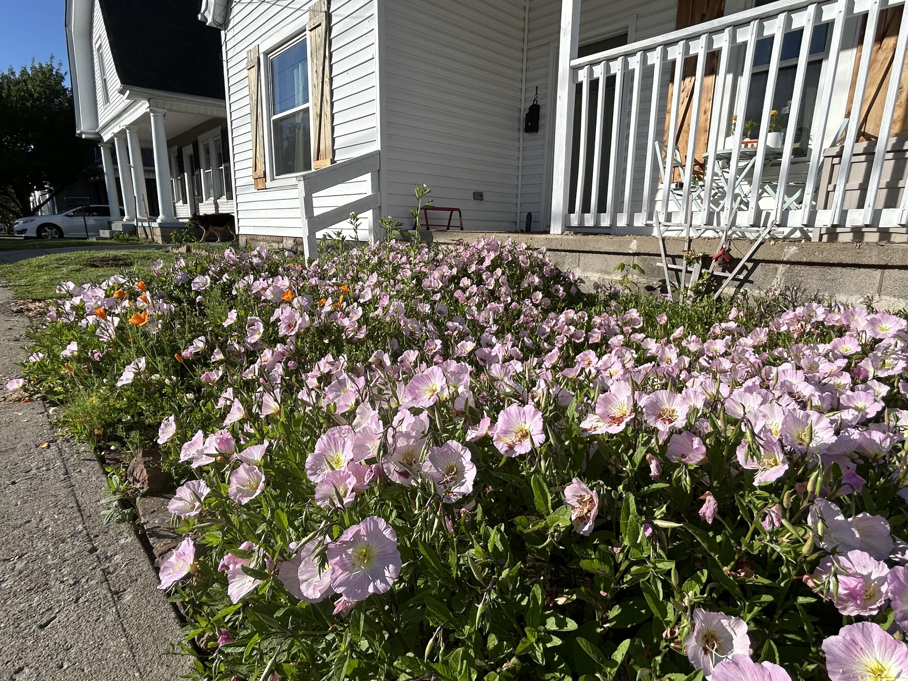 16 16th Street Property Photo 3
