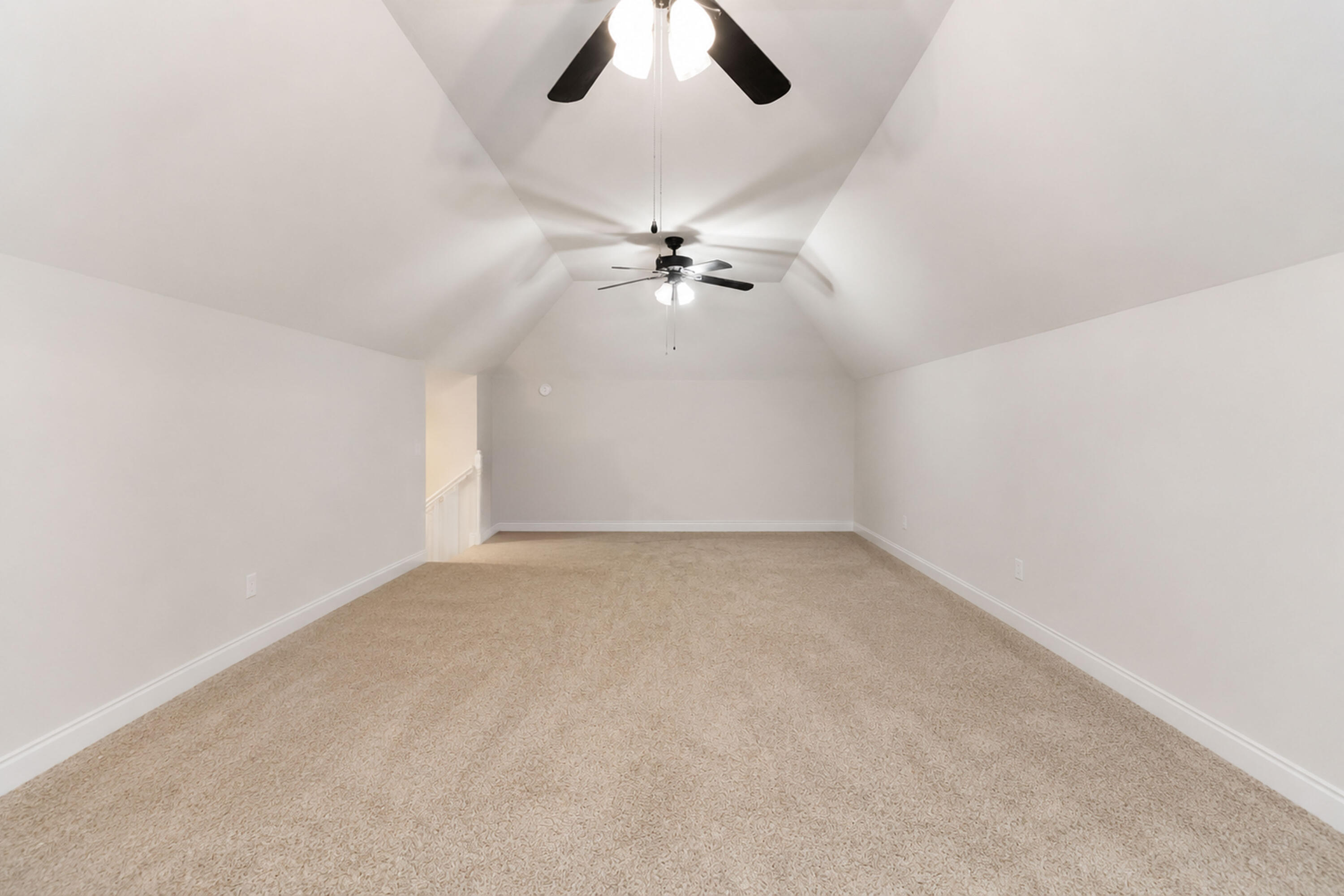 201 Nelson Park Property Photo 20