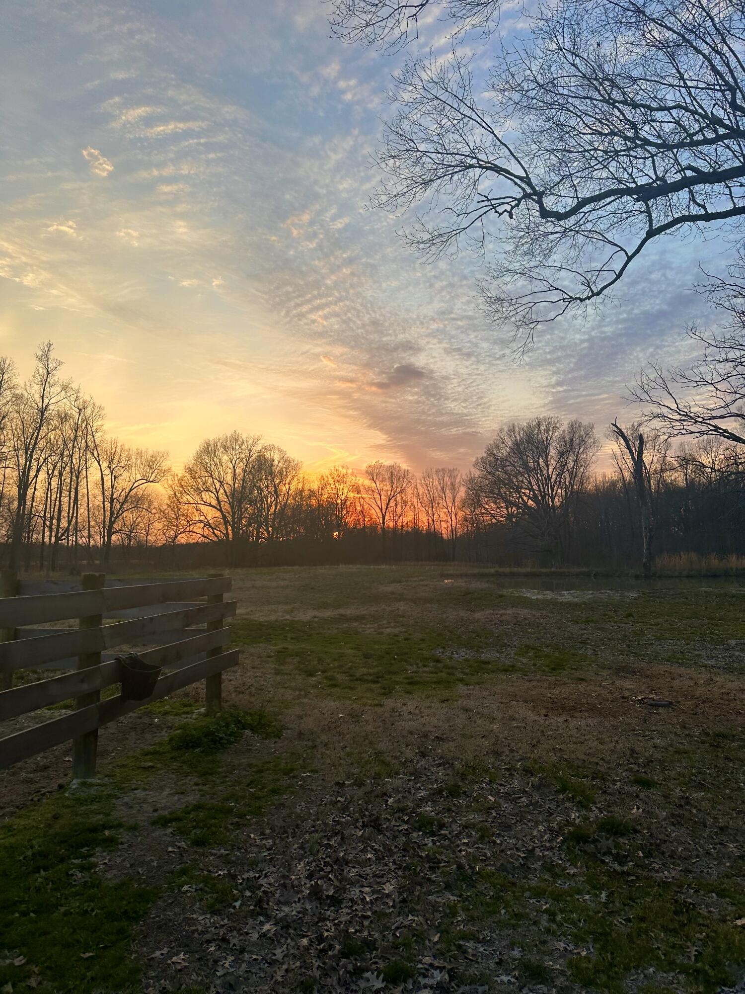 2635 Said Road Property Photo 41