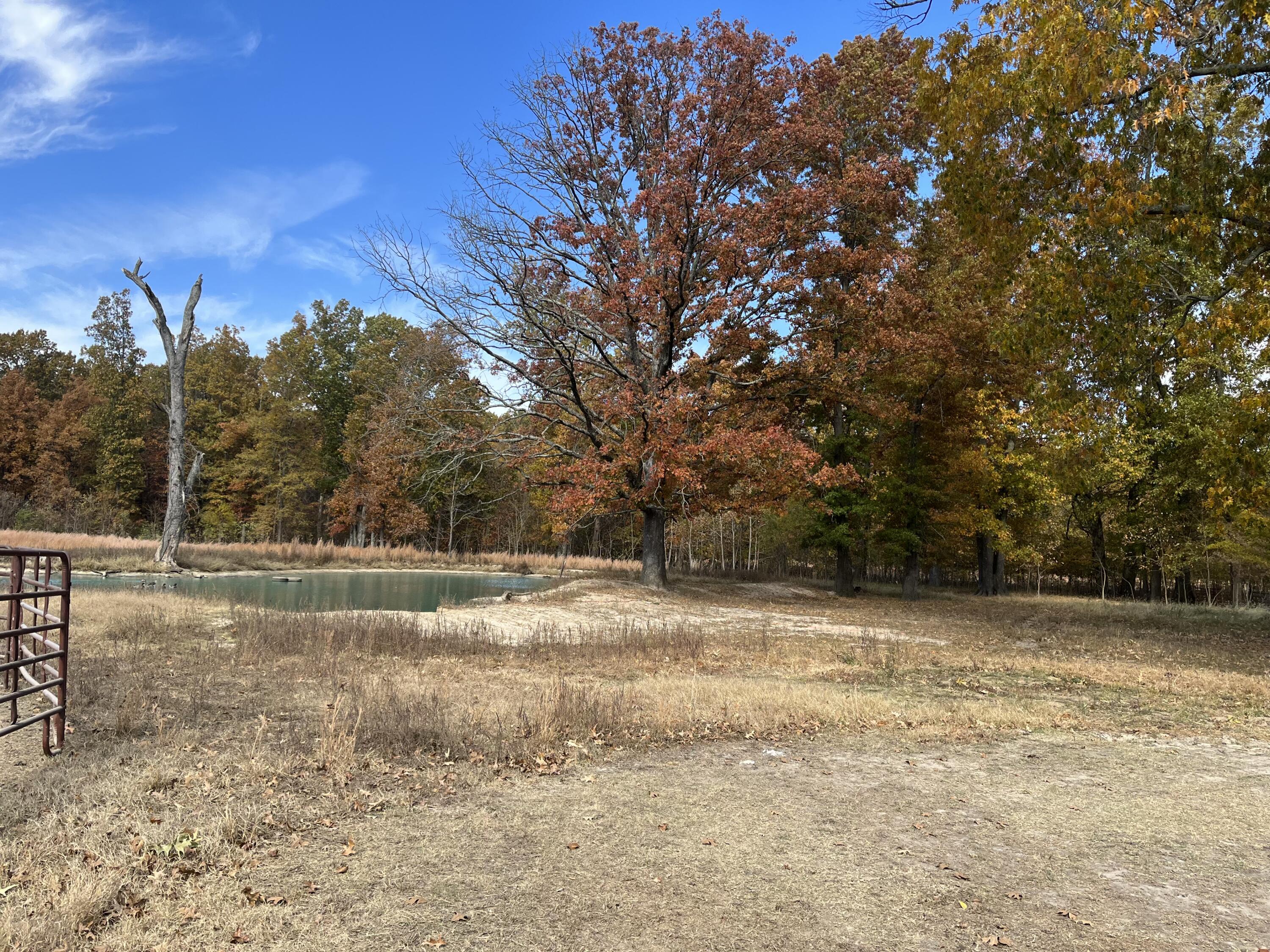 2635 Said Road Property Photo 45