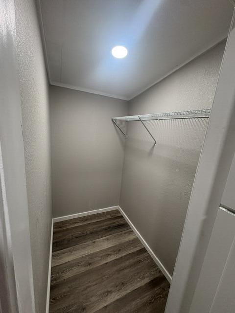 580 Conley Fork Property Photo 15