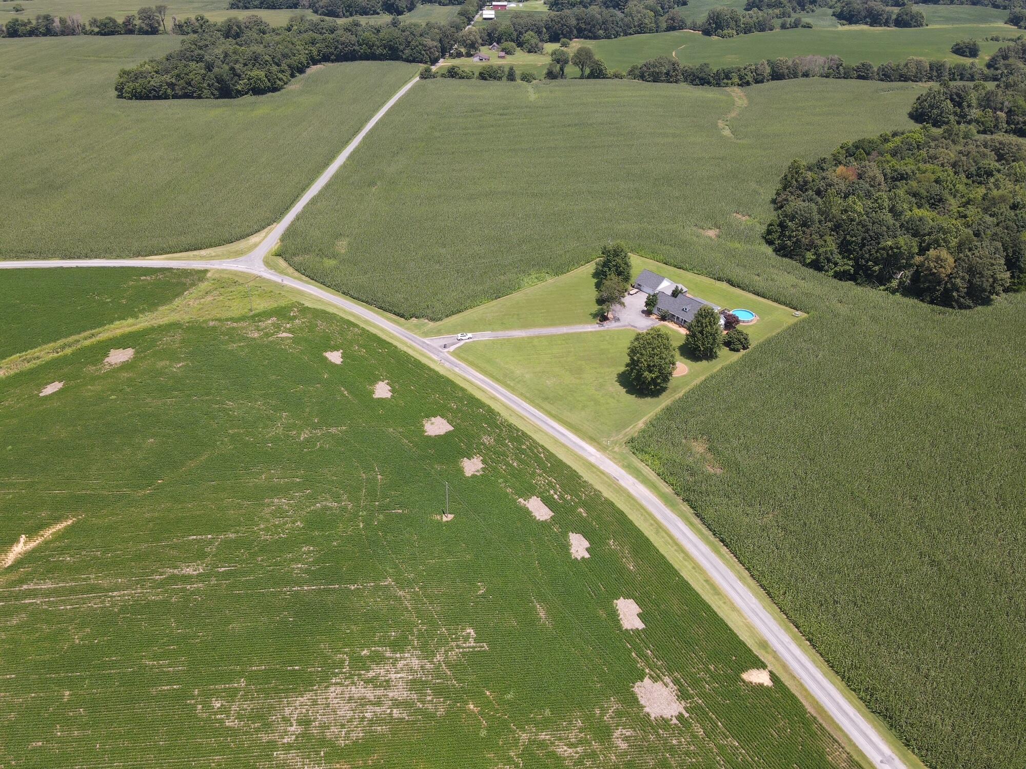 1162 Cavender Road Property Photo 47