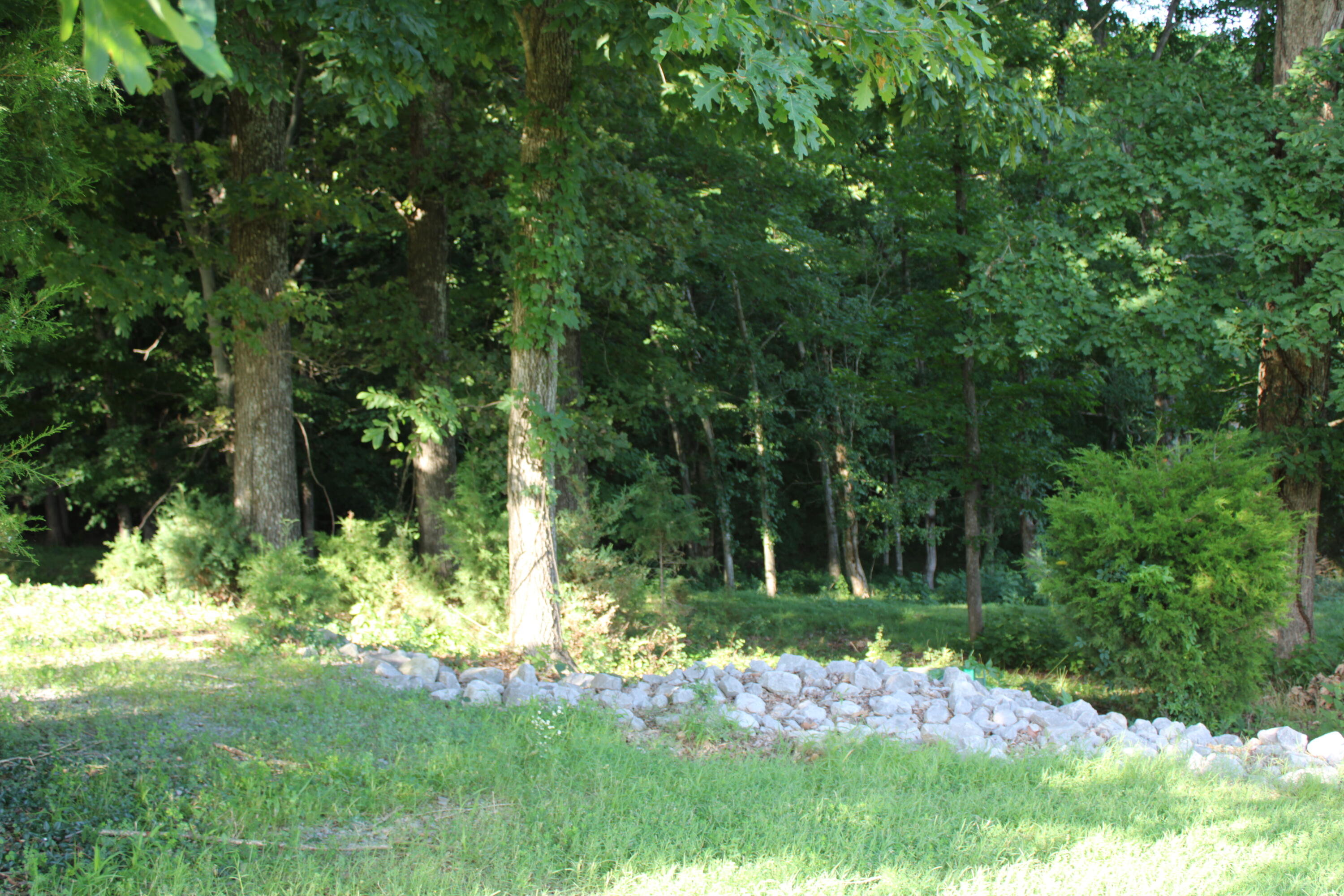 Lot #73 & #74 Rolling Mill Road Property Photo 4