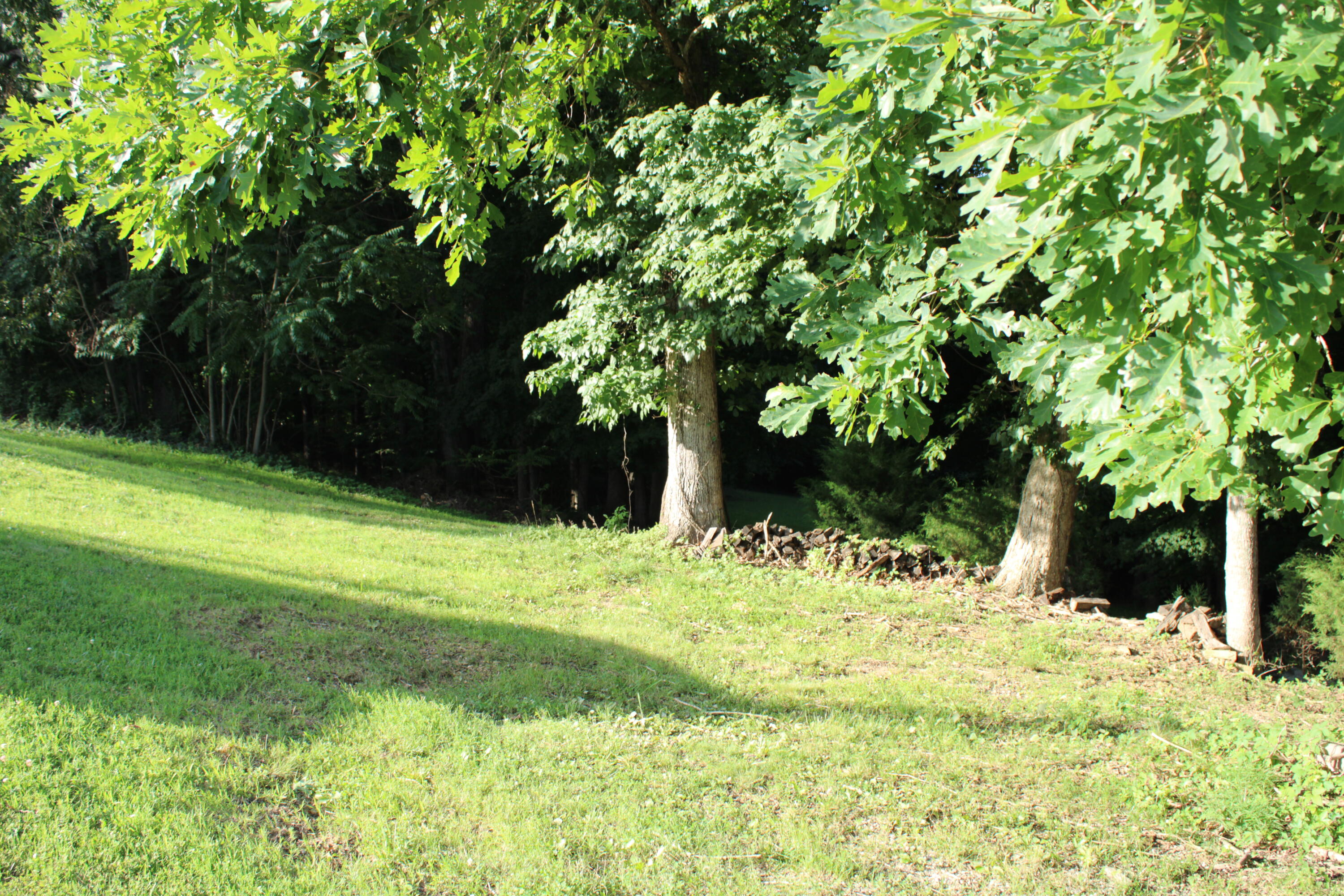 Lot #73 & #74 Rolling Mill Road Property Photo 6