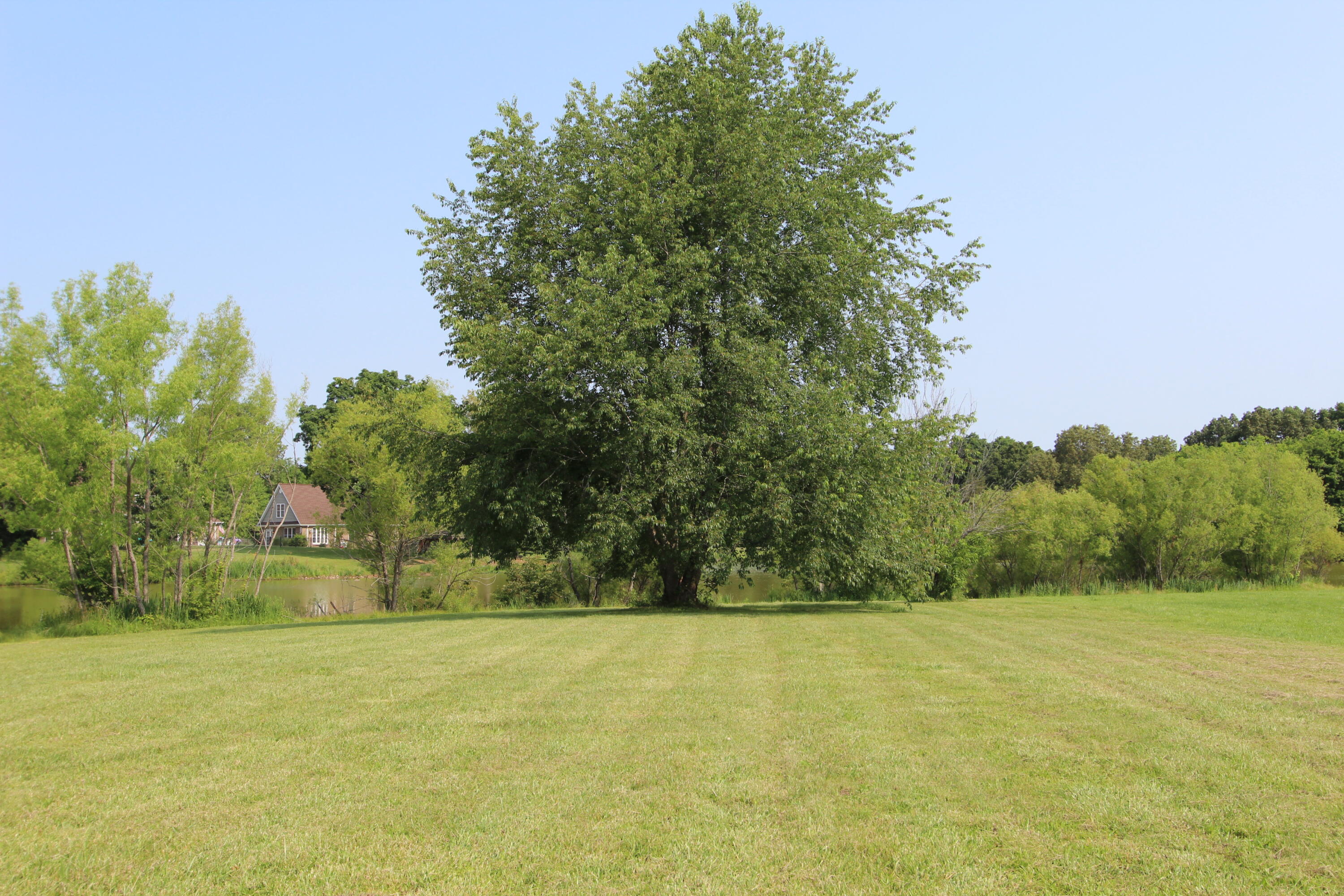 Lot 1 Eagle Lake Drive Property Photo 4