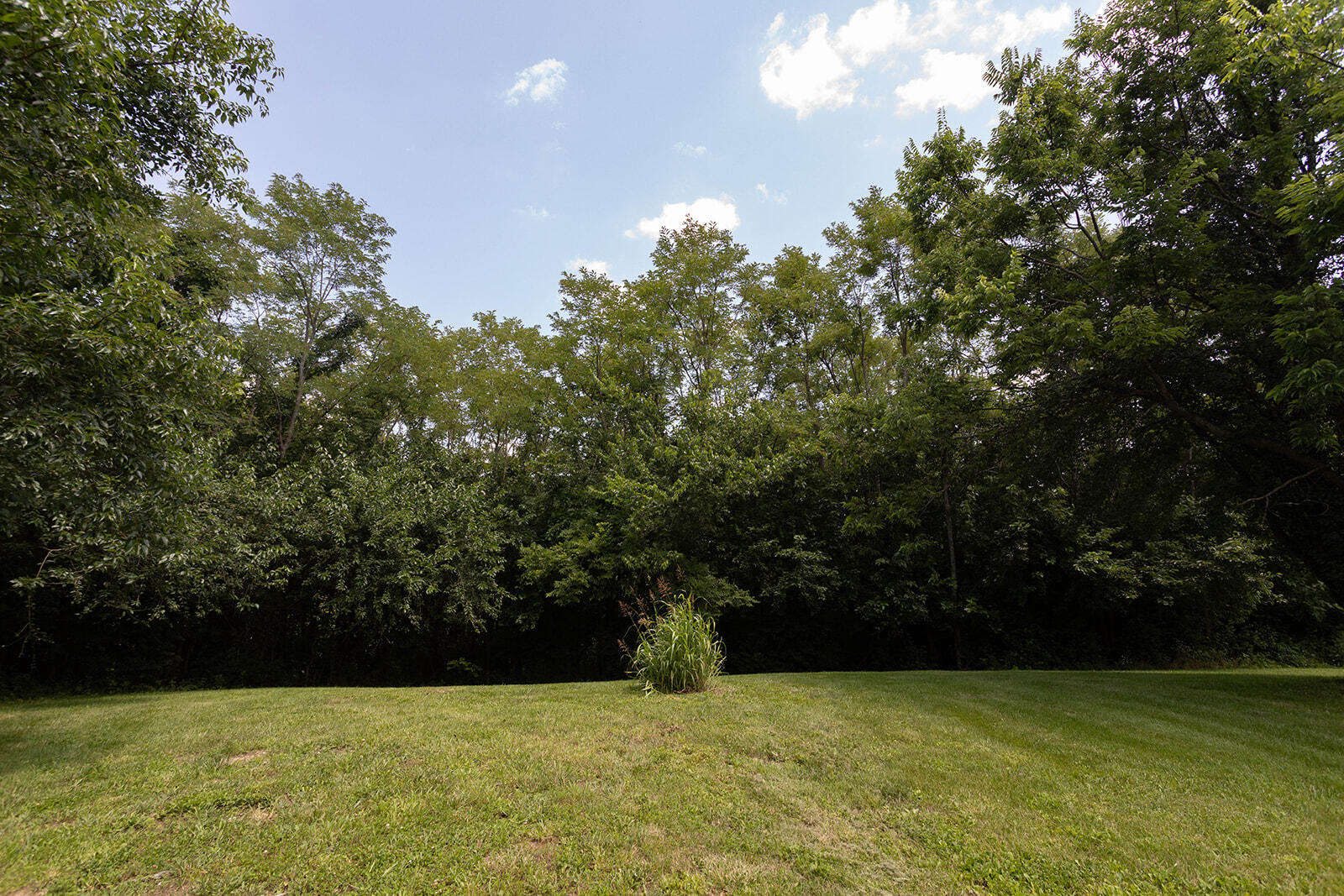 399 Harlow Lane Property Photo 42
