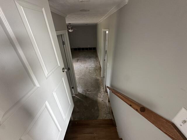 7740 Old Mayfield Road Property Photo 23