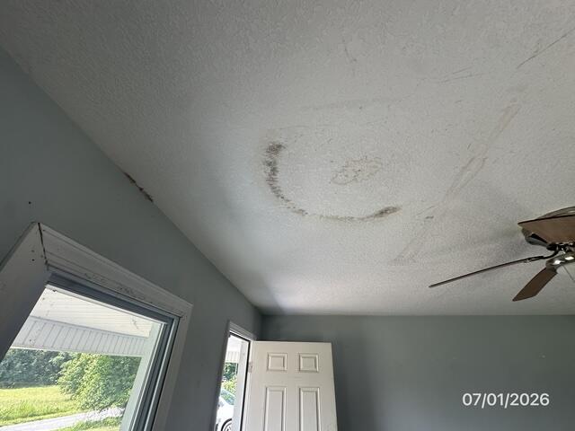 4557 Hendron Road Property Photo 3