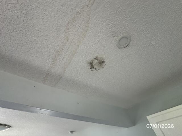 4557 Hendron Road Property Photo 10